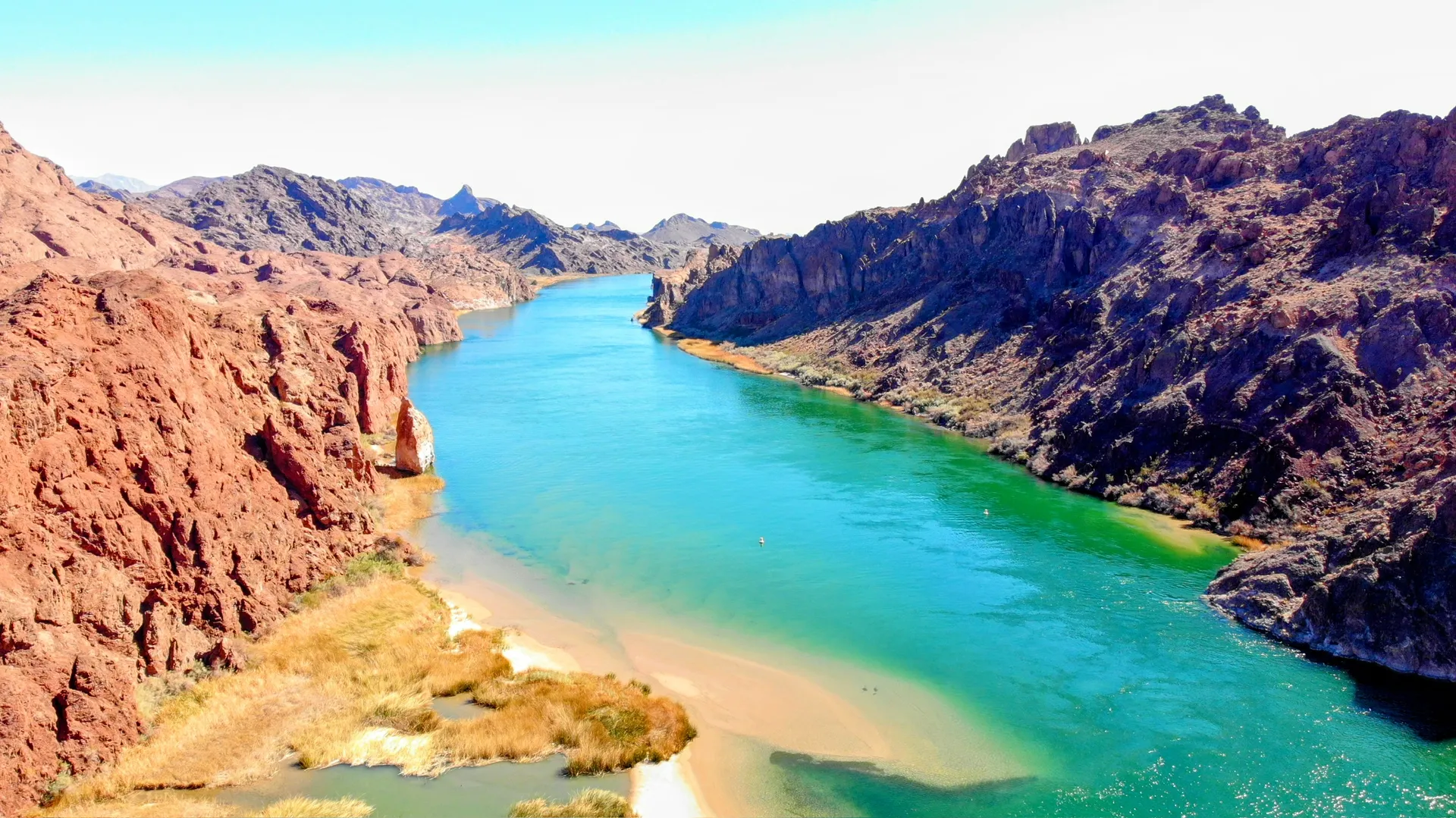 26' PARTY-TOON - CAPTAIN INCLUDED