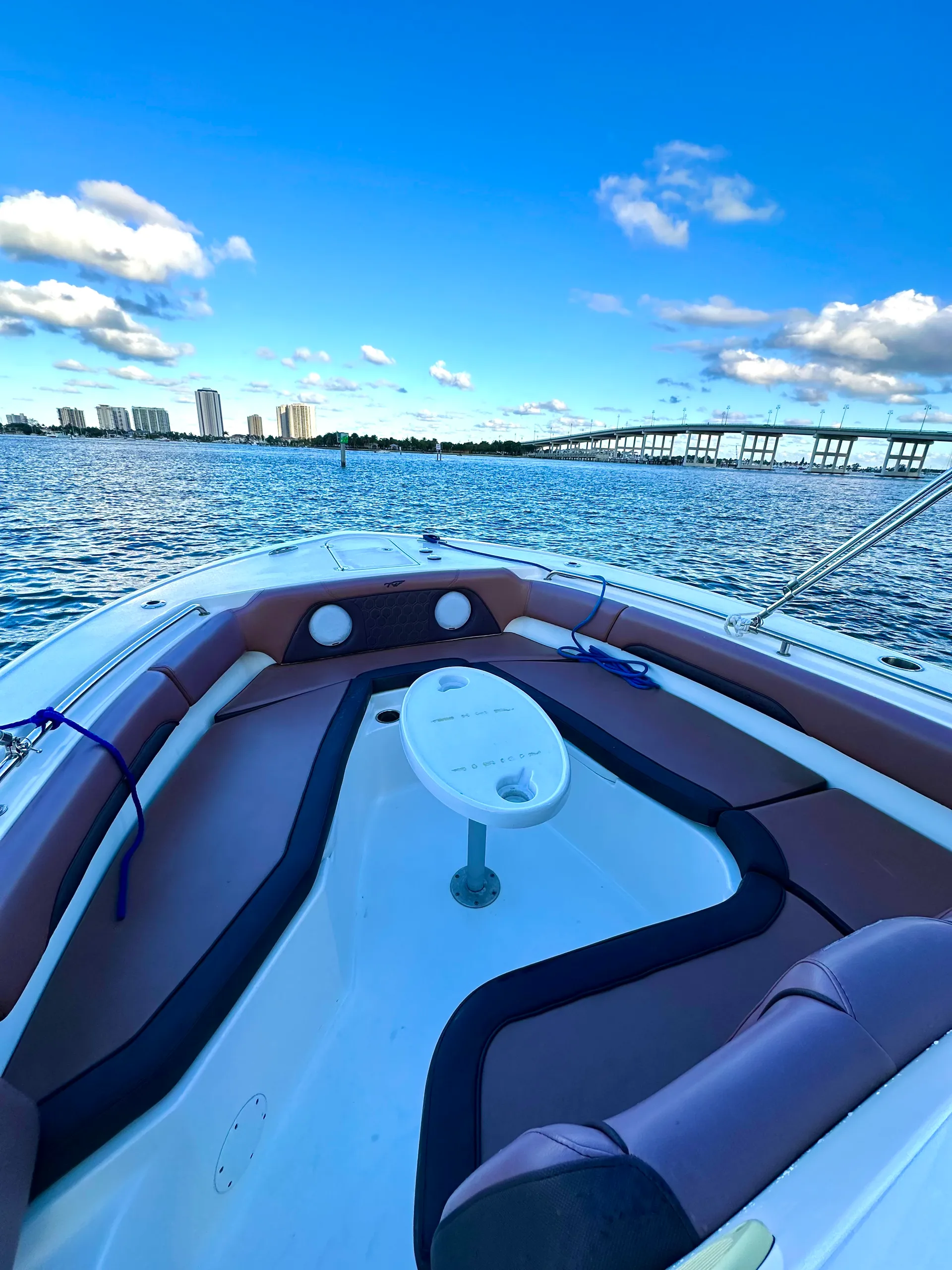 TIDEWATER BOATS 252CC ADVENTURER W/2-150HP in Riviera Beach, FL — photo 3