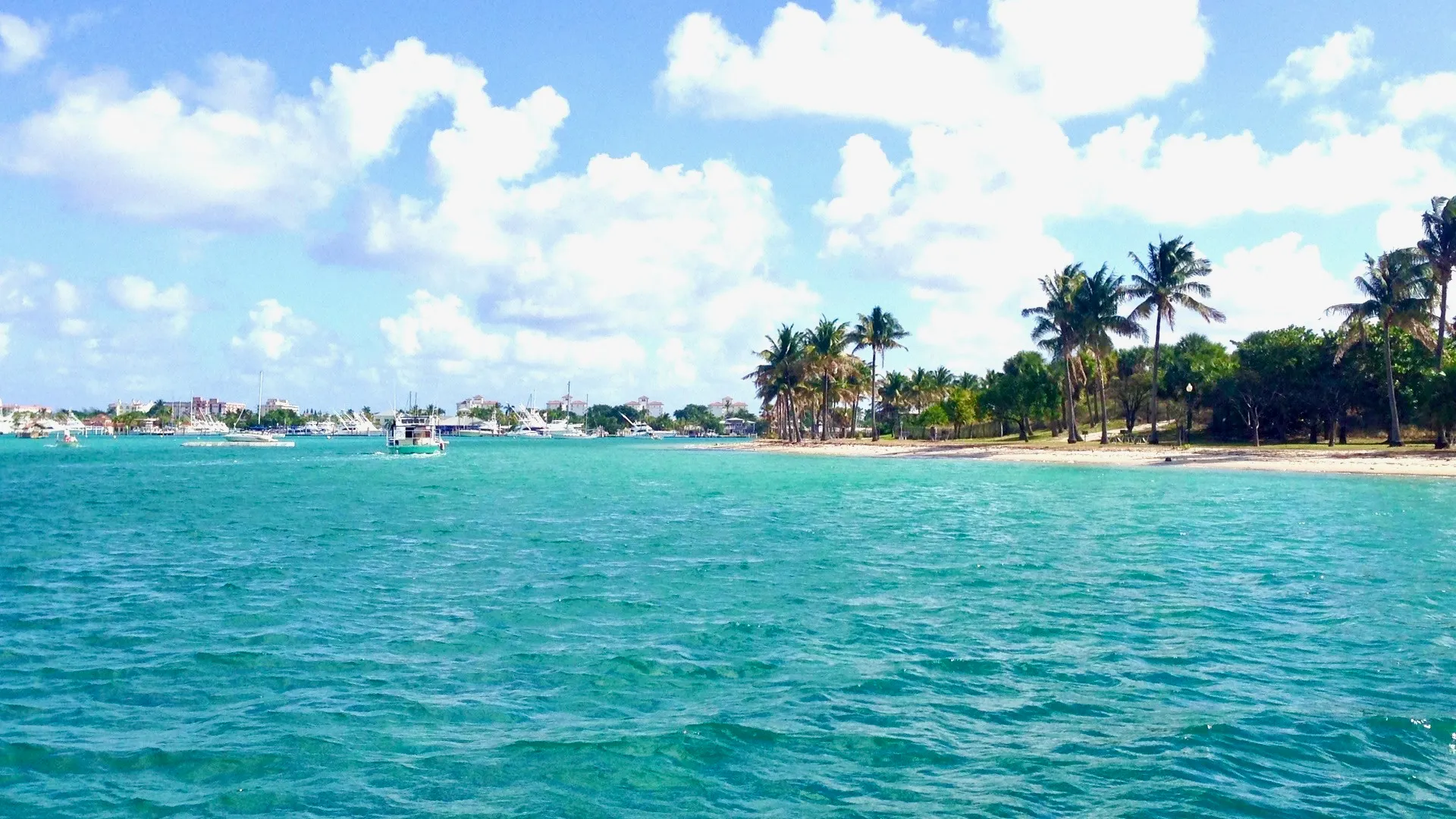 TIDEWATER BOATS 252CC ADVENTURER W/2-150HP in Riviera Beach, FL — photo 8