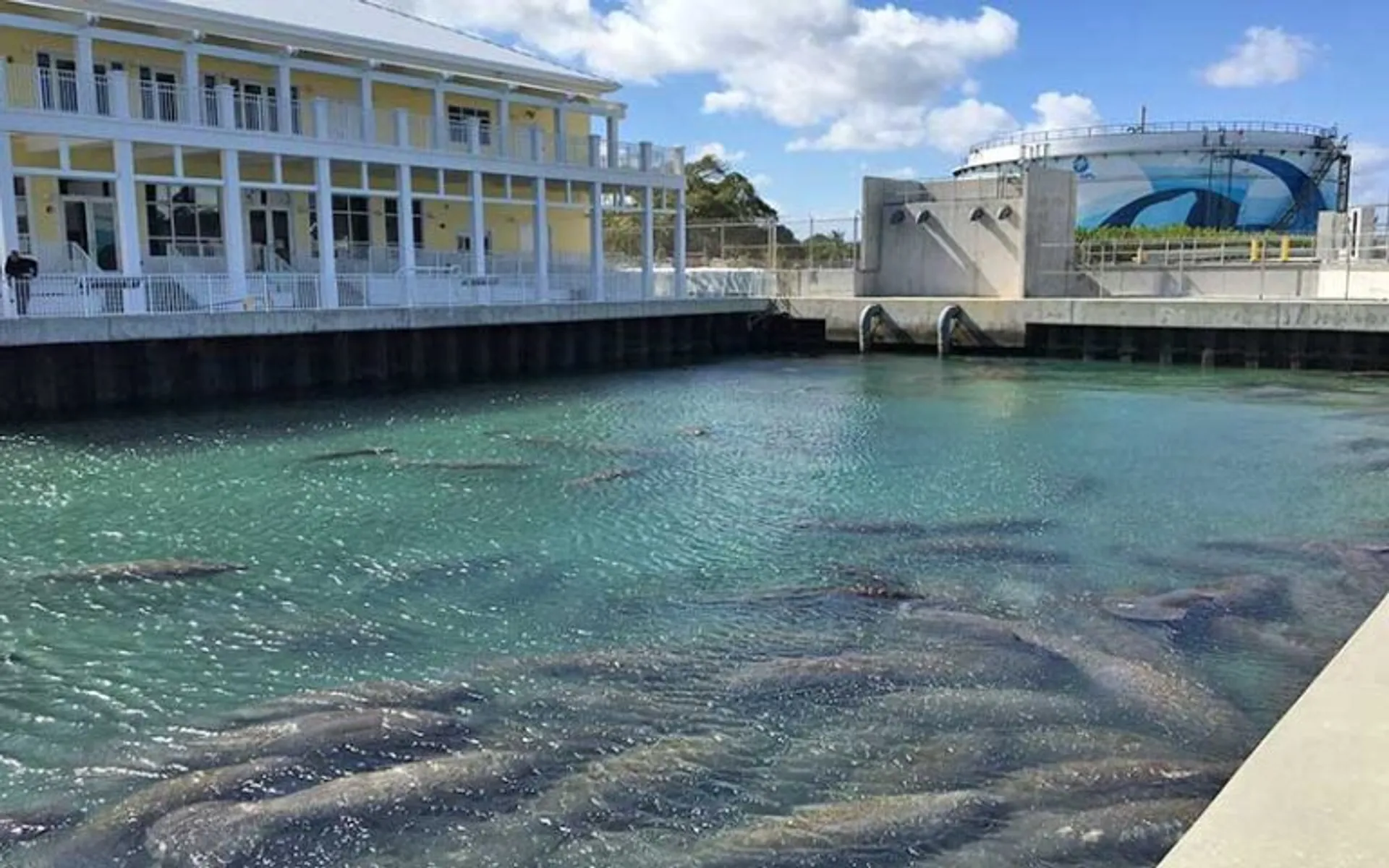 West Palm Beach: Boat Cruise & Tour with a Captain *GET 30 MIN FREE*