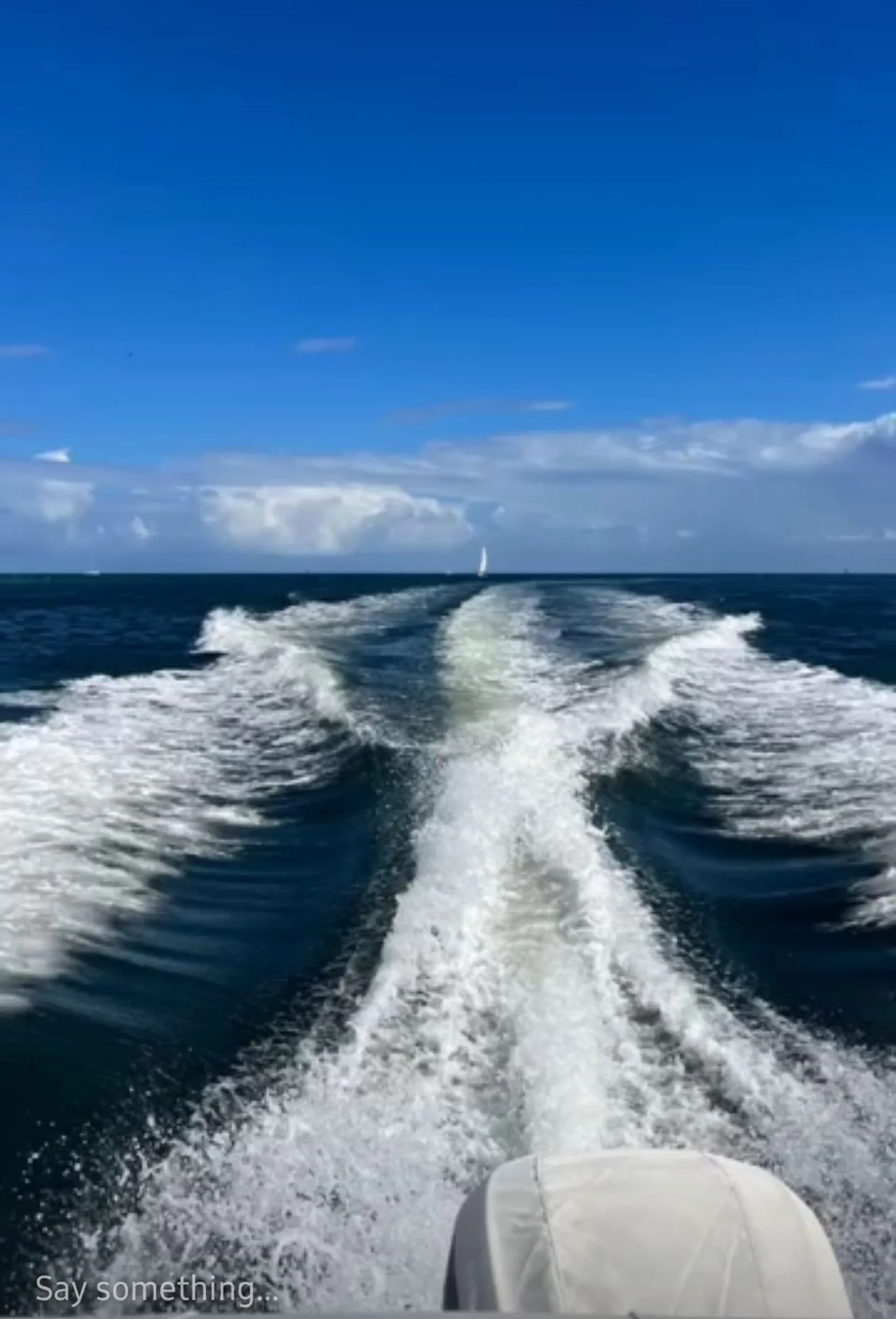 Sandbar or Sunset Cruise on this 27 foot cabin cruiser