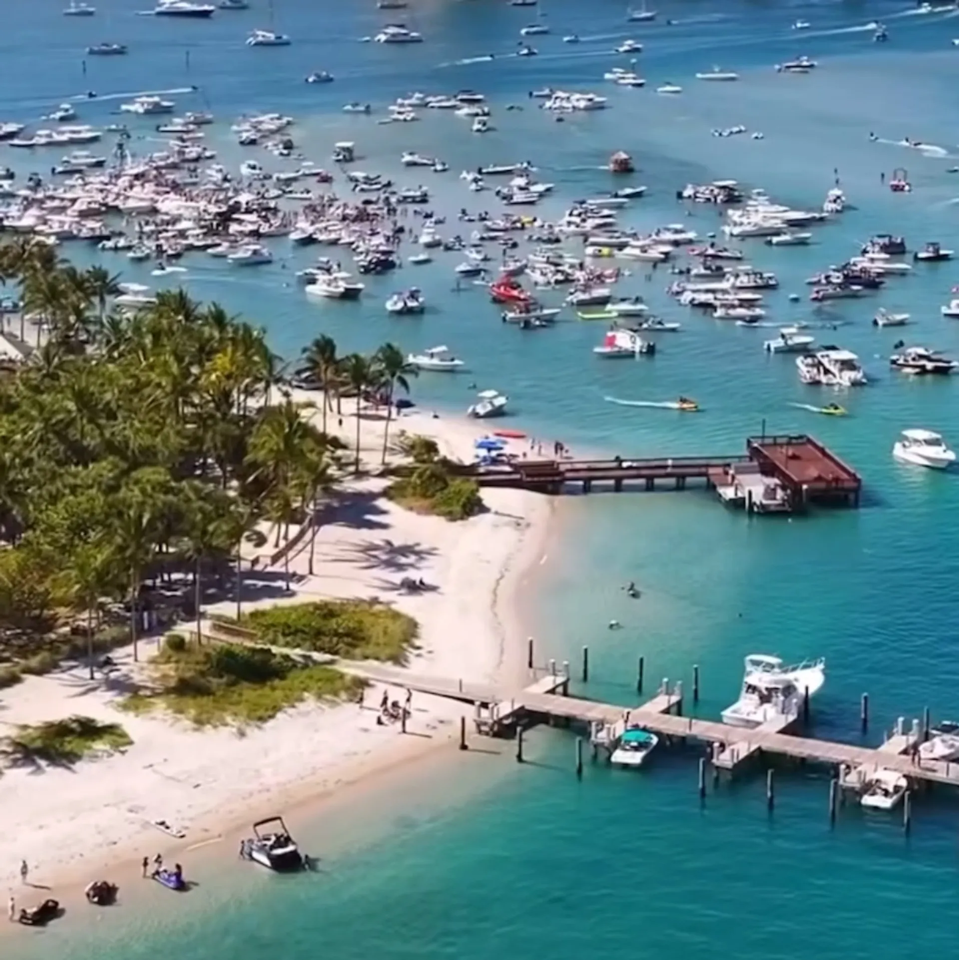 Forget About It Charters Fishing and Sandbar Charters