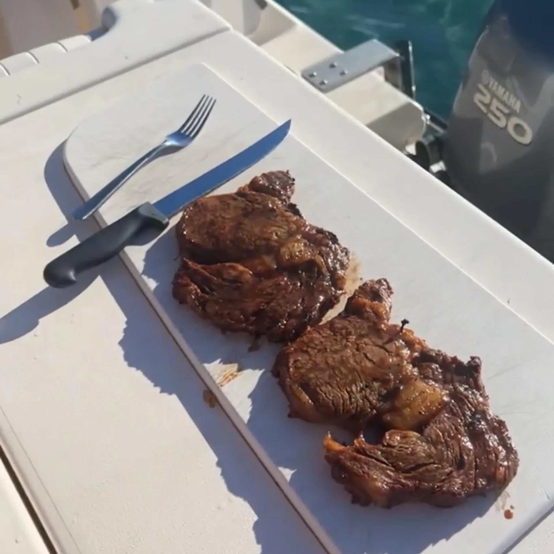 Forget About It Charters Fishing and Sandbar Charters