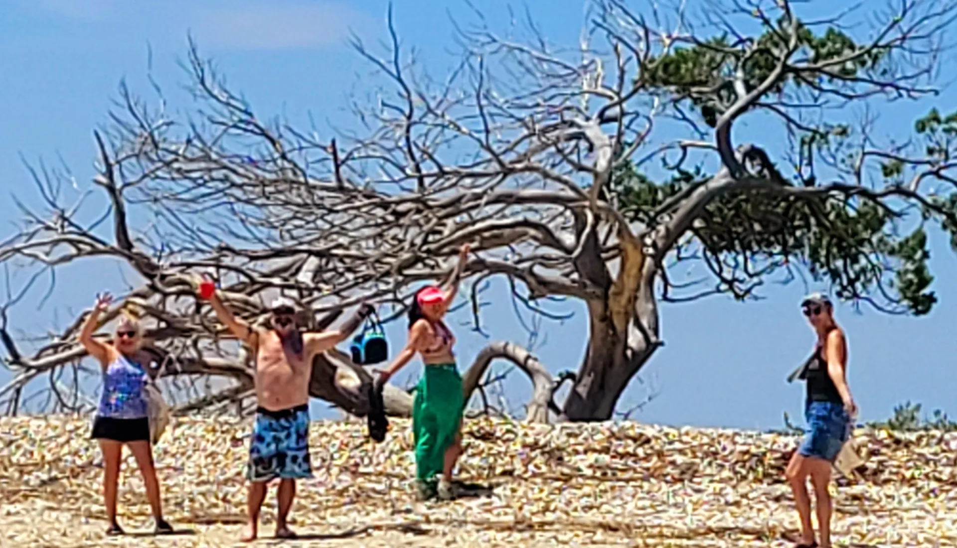 Spacious 24ft Central Console Deck Boat – Perfect for Your Next Advent