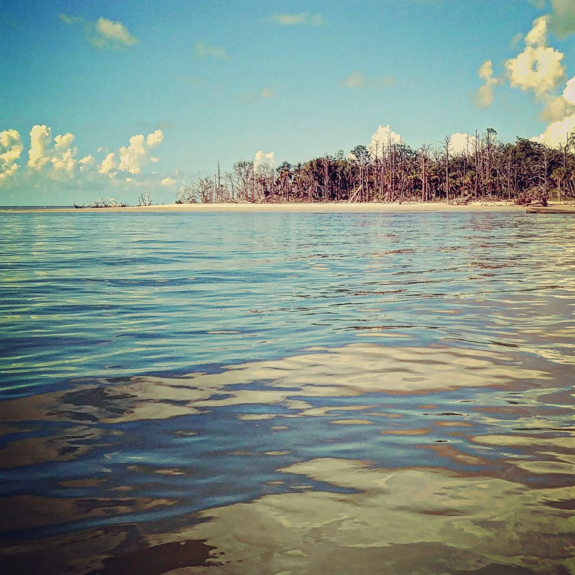 Spacious 24ft Central Console Deck Boat – Perfect for Your Next Advent