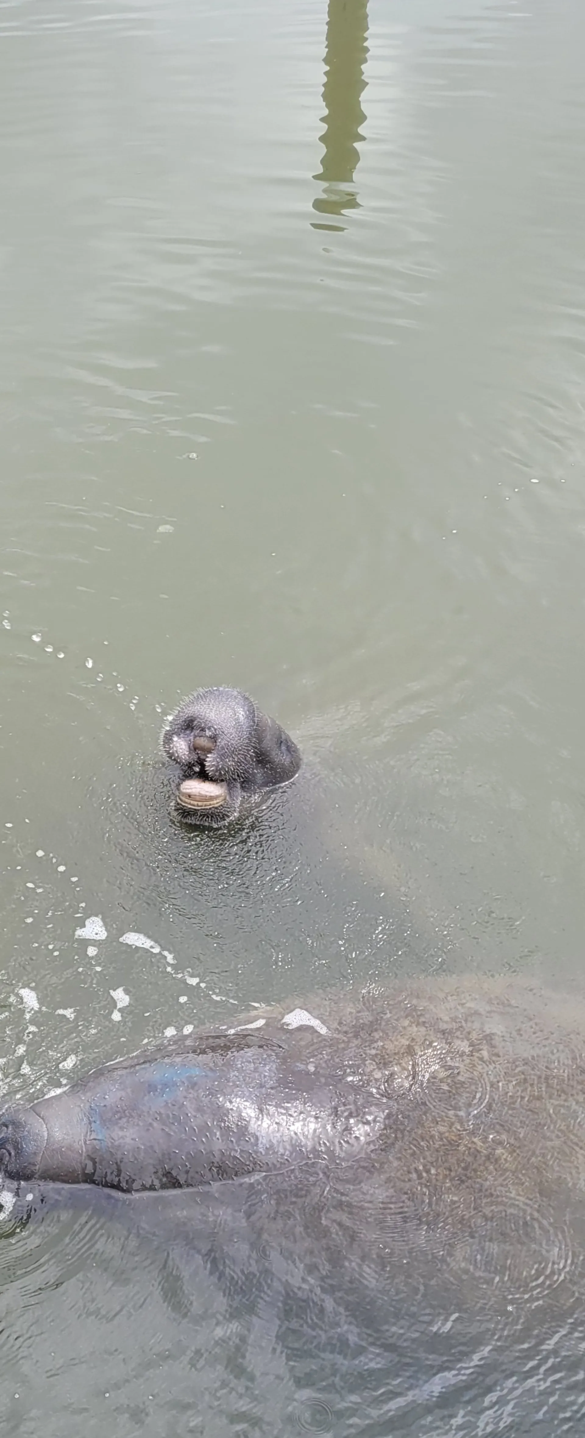 Spacious 24ft Central Console Deck Boat – Perfect for Your Next Advent