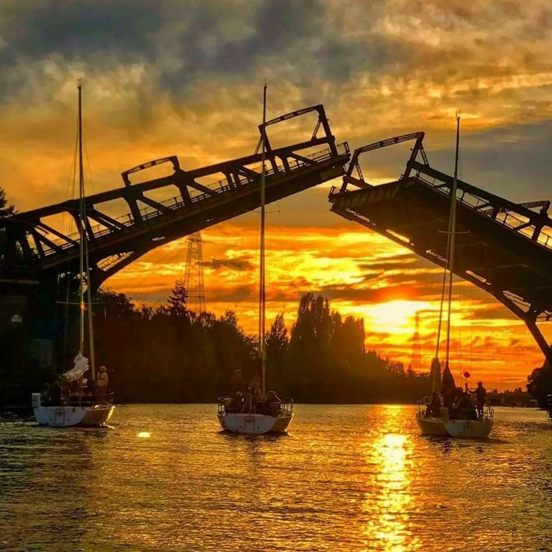 Tollycraft Boats Tri-Cabin in Seattle, WA — photo 10