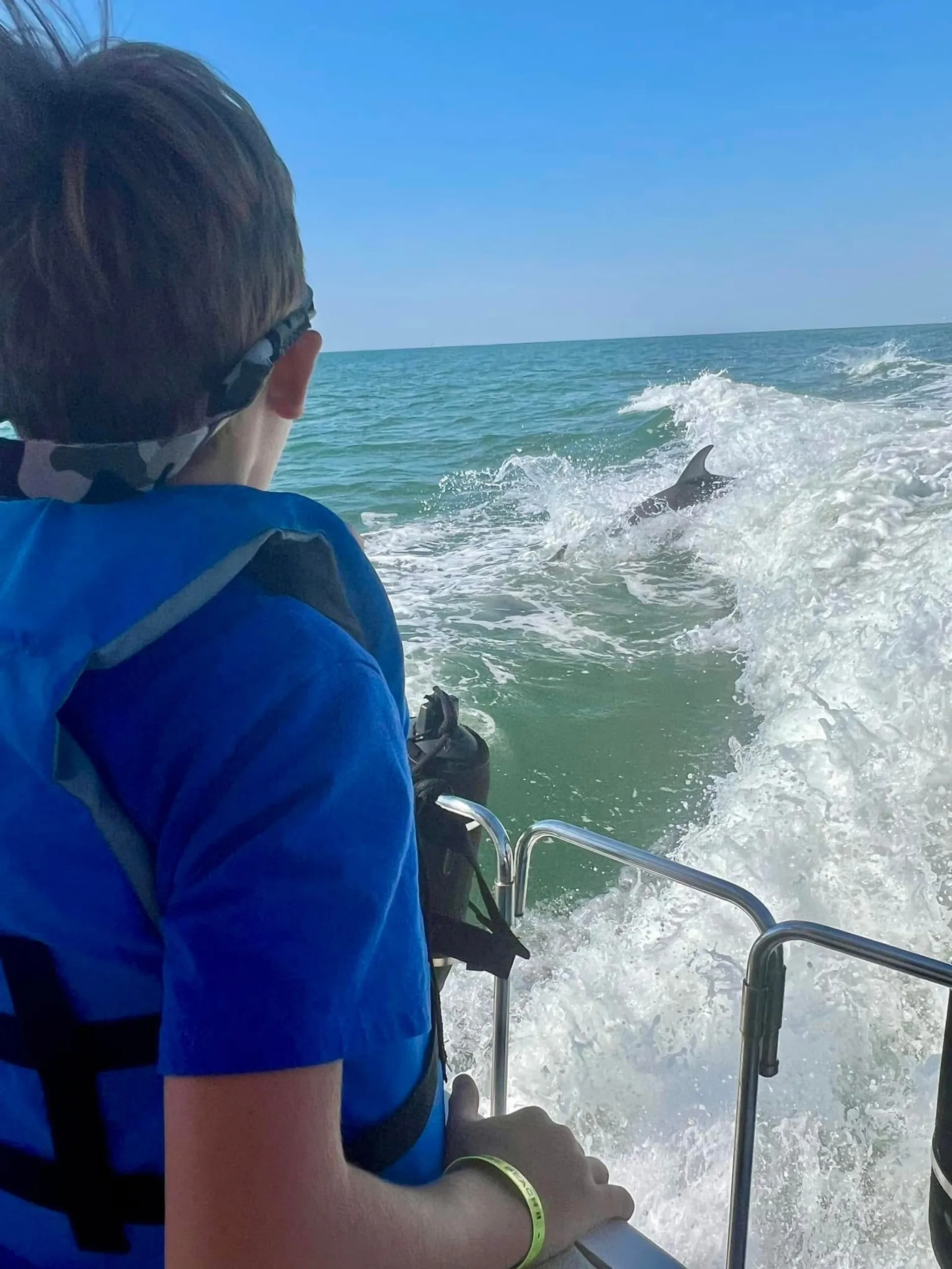 28' boat for Dolphin, sunset & Siteseeing Cruise in  Orange Beach, AL!