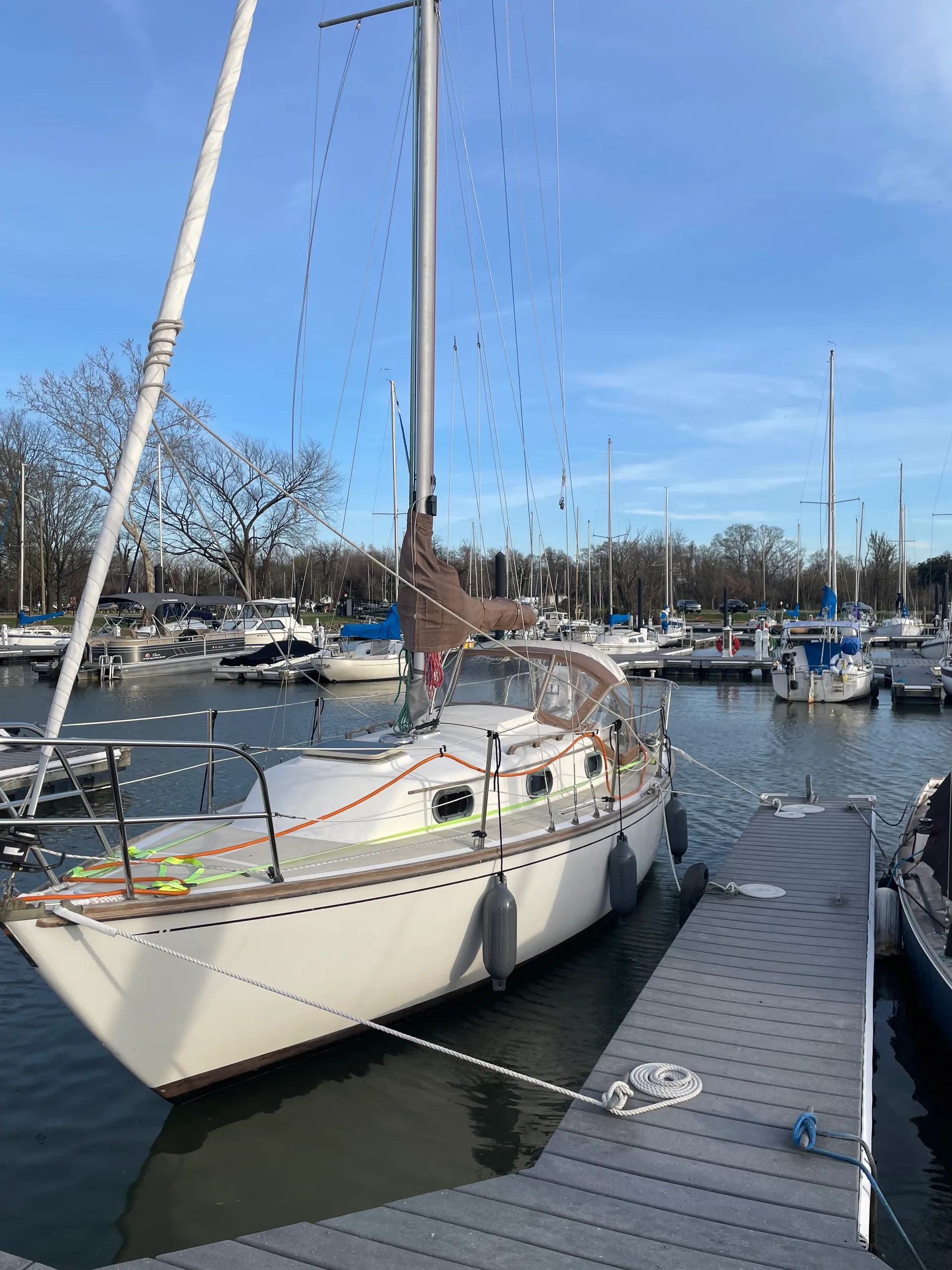 CAPE DORY 25 DIESEL in Alexandria, VA — photo 5