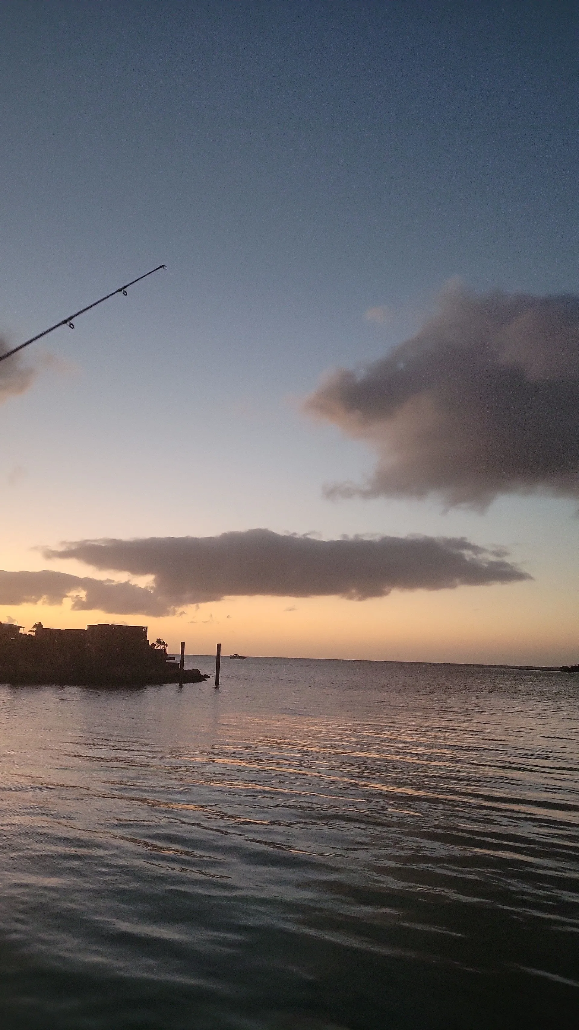 CHAPARRAL  SSI 21 OB  