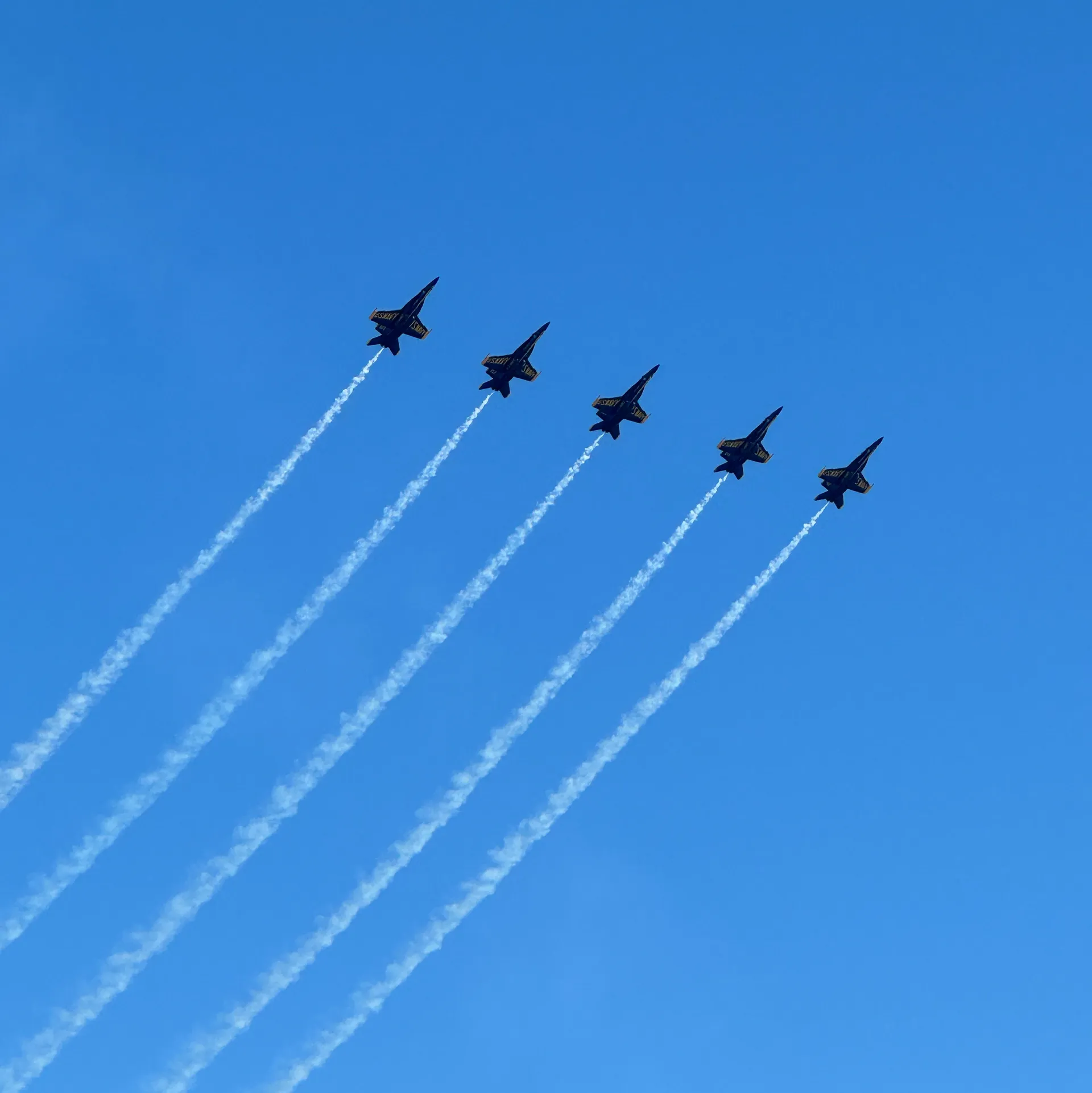 58’ San Francisco Party Cruiser up to 49 passengers!