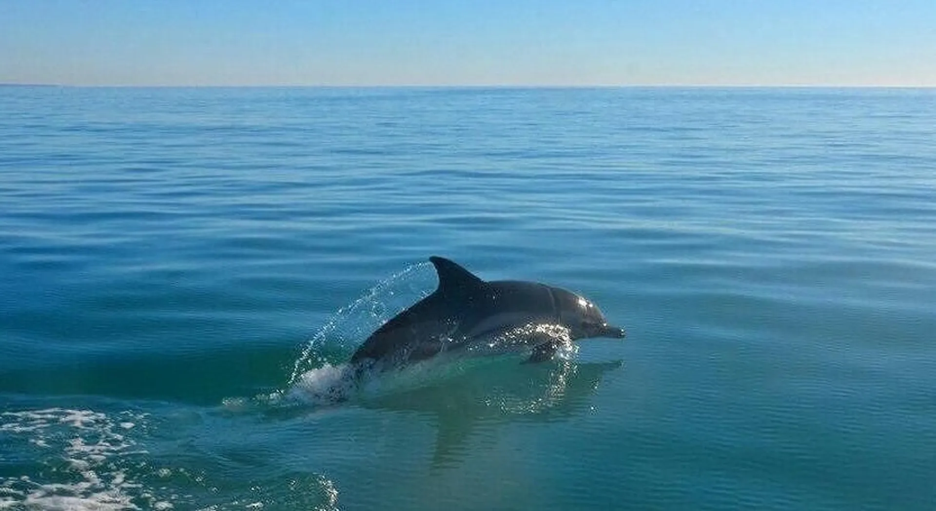 Day of Fun -In -The -Sun by Boat!