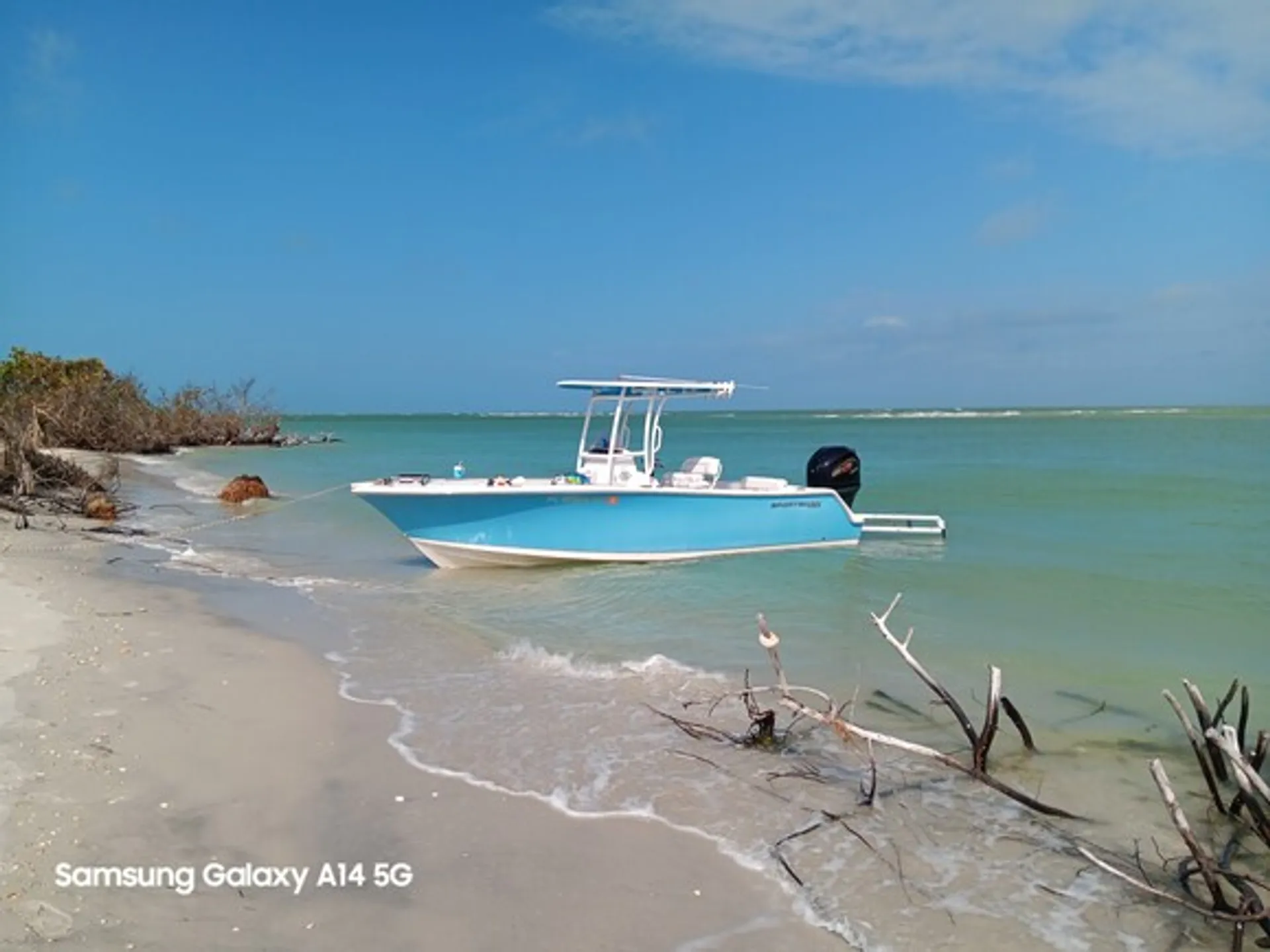 boat