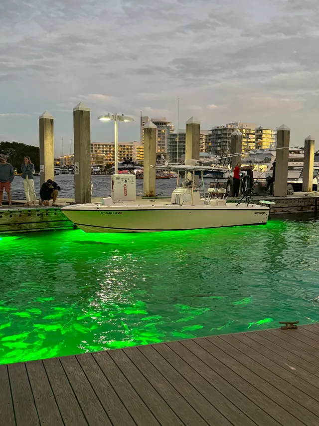 Rent a Whitewater center console in Fort Lauderdale, FL near me
