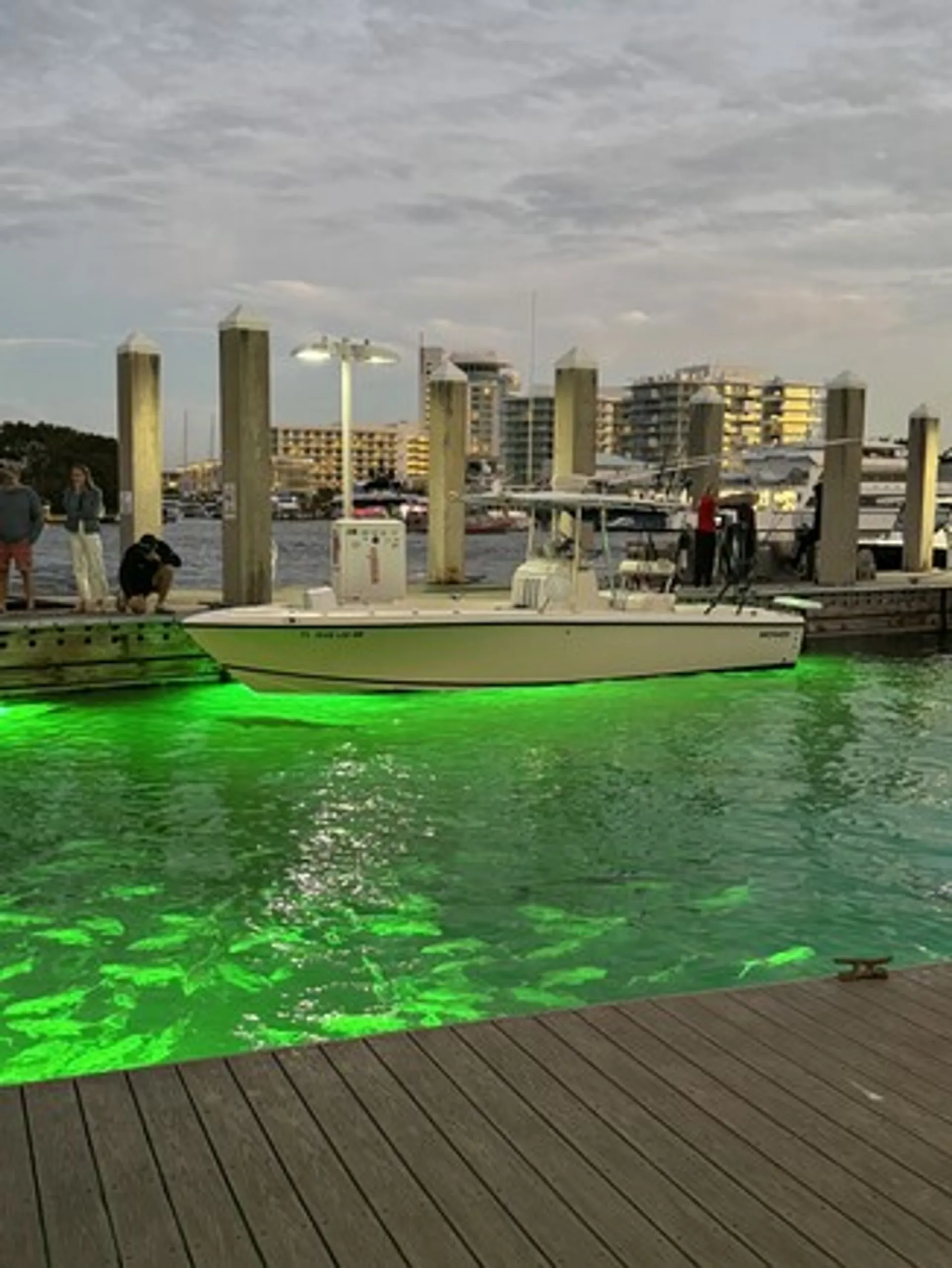 boat