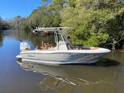 Perfect for sandbar parties, dolphin watching, and cruising Charleston boat photo