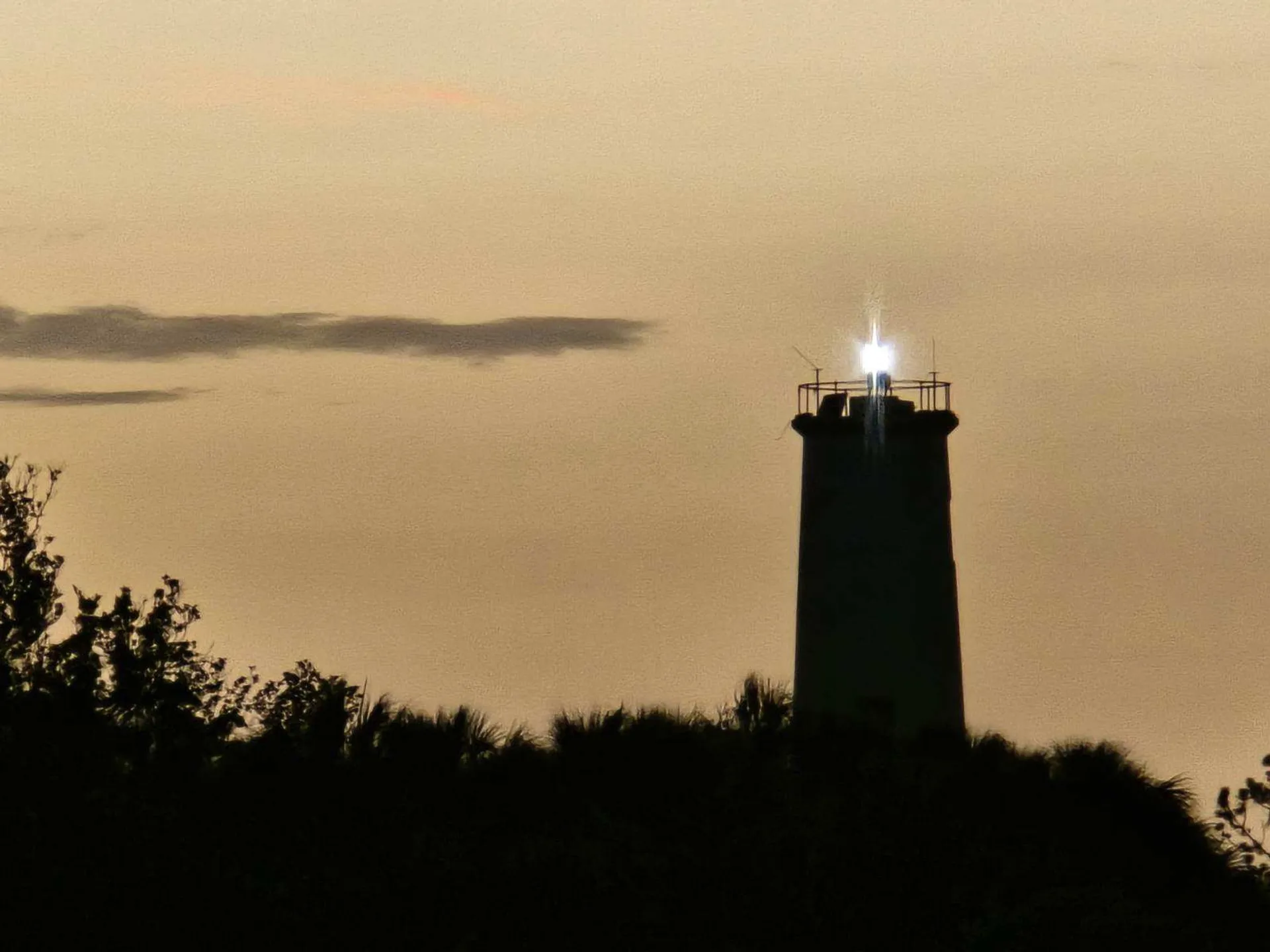 🚤 Bennington 2XL Pontoon | Cruise Anna Maria Island Like a Local