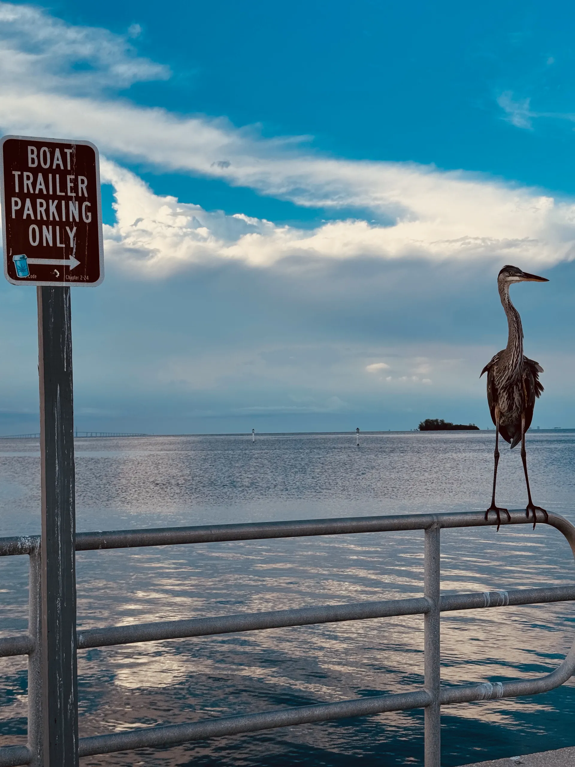 🚤 Bennington 2XL Pontoon | Cruise Anna Maria Island Like a Local
