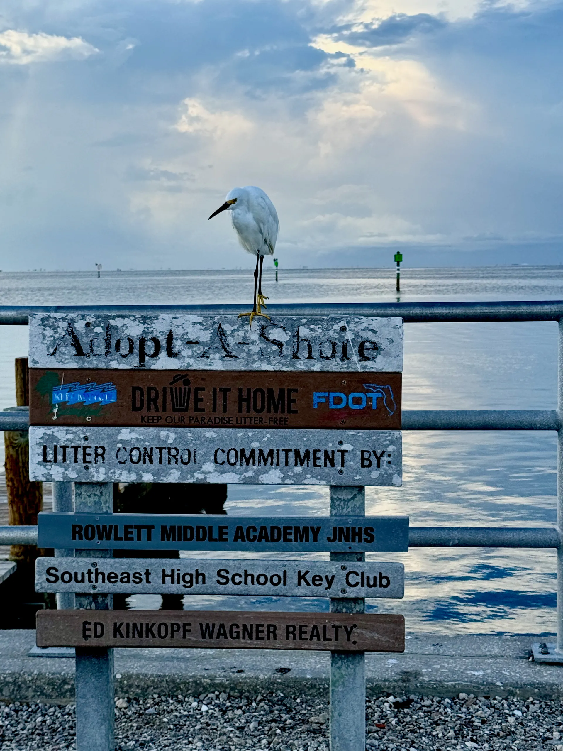 🚤 Bennington 2XL Pontoon | Cruise Anna Maria Island Like a Local