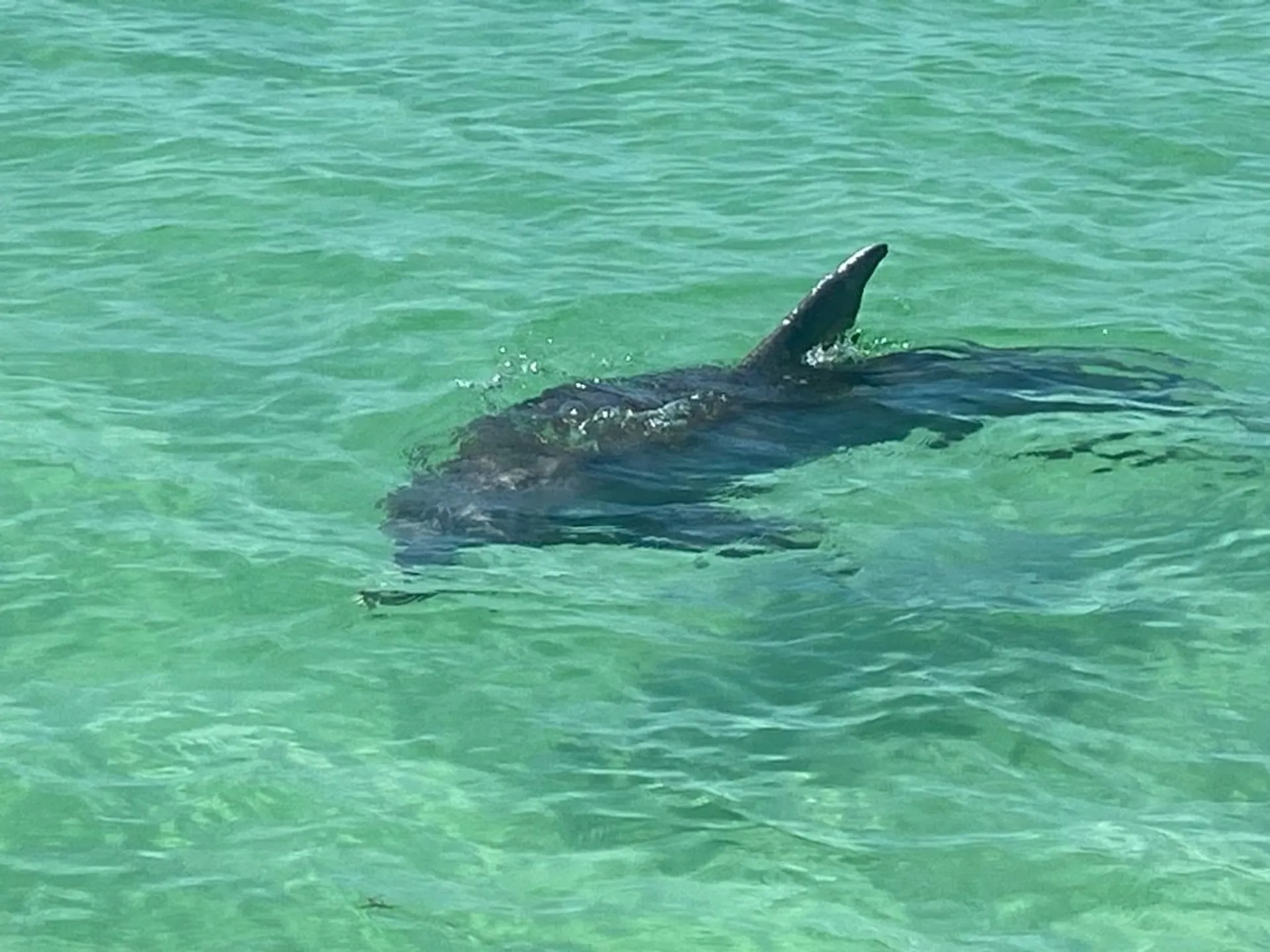 Enjoy Crab island and Destin !
Paddleboard and floating mat included !