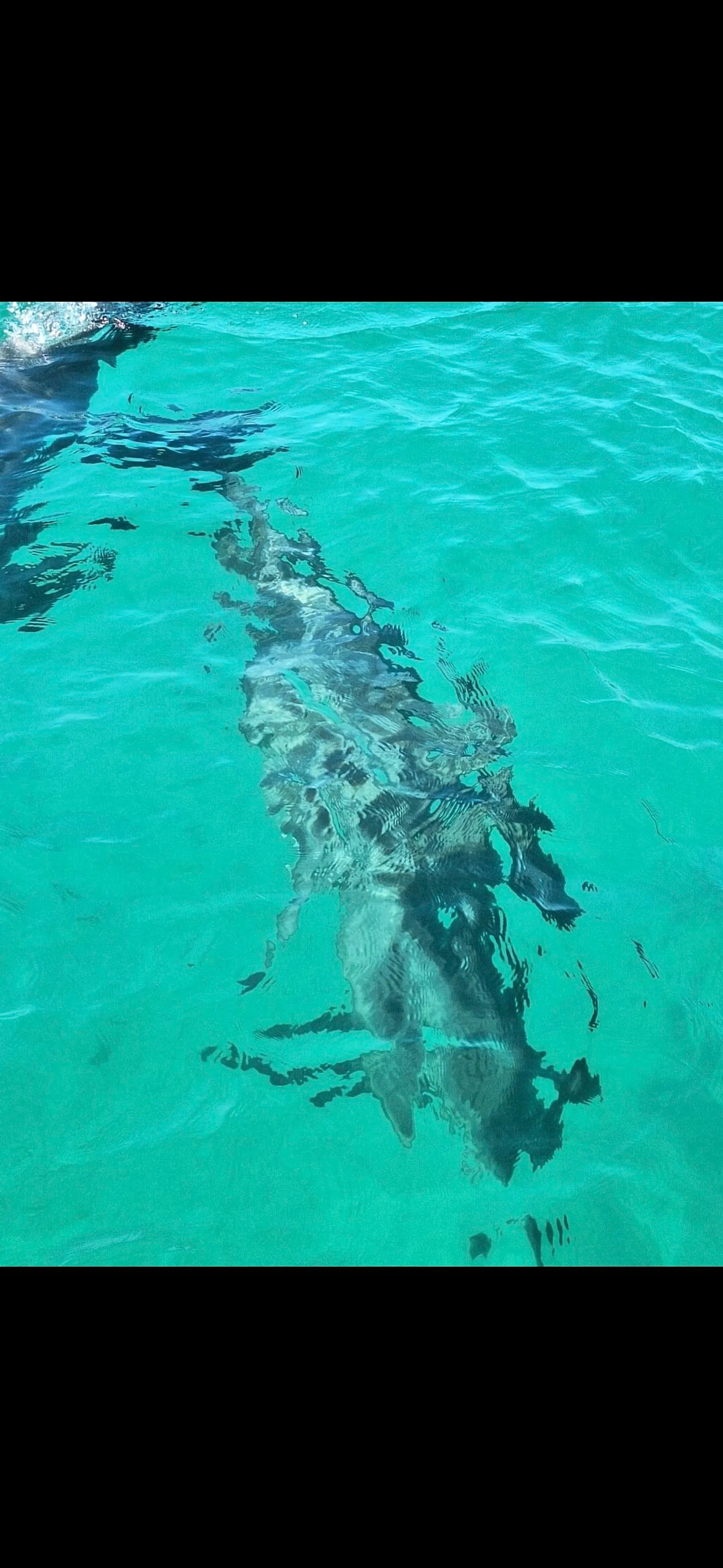 35ft Party Pontoon with a bathroom Upper deck with slide and wet bar