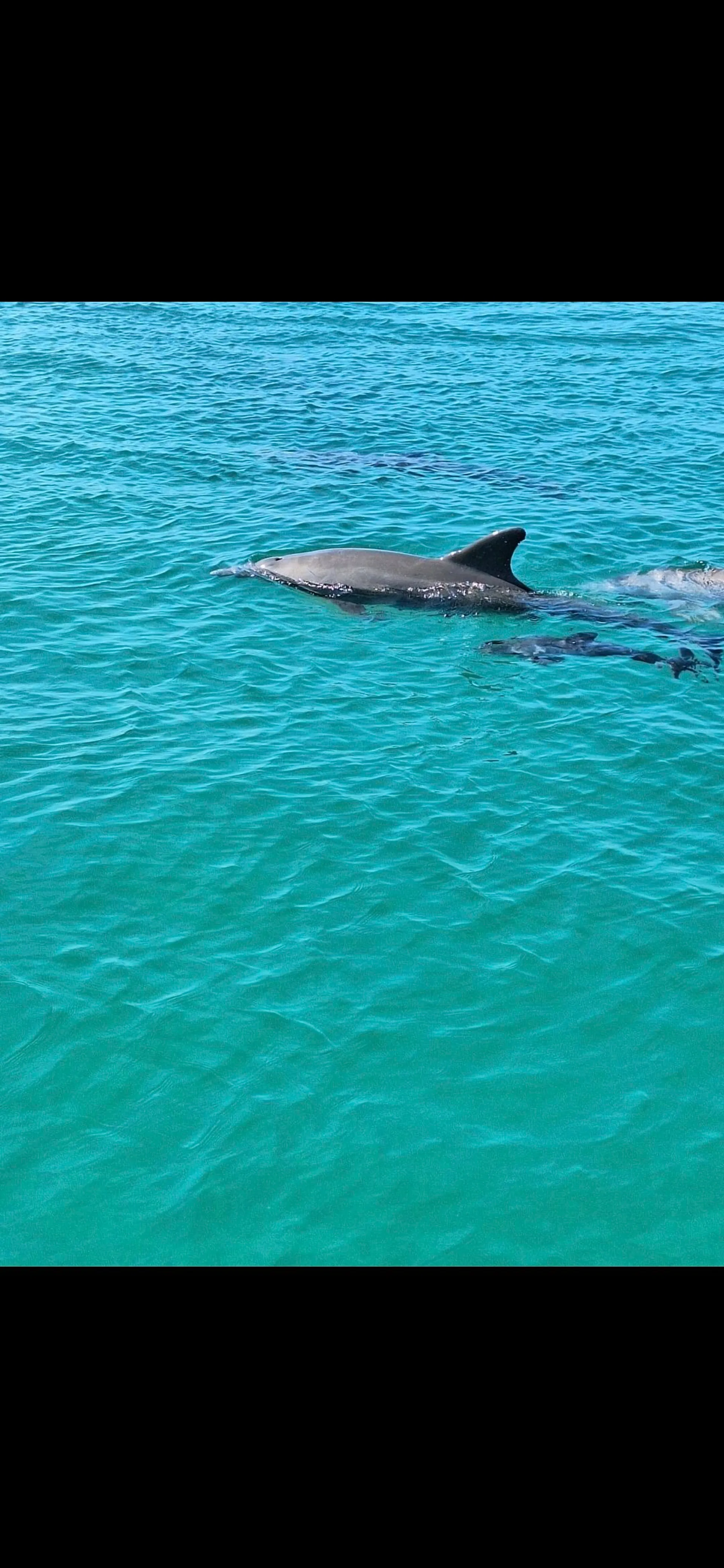 35ft Party Pontoon with a bathroom Upper deck with slide and wet bar