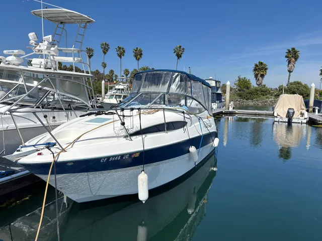 Rent a Bayliner motor yacht in San Diego, CA near me