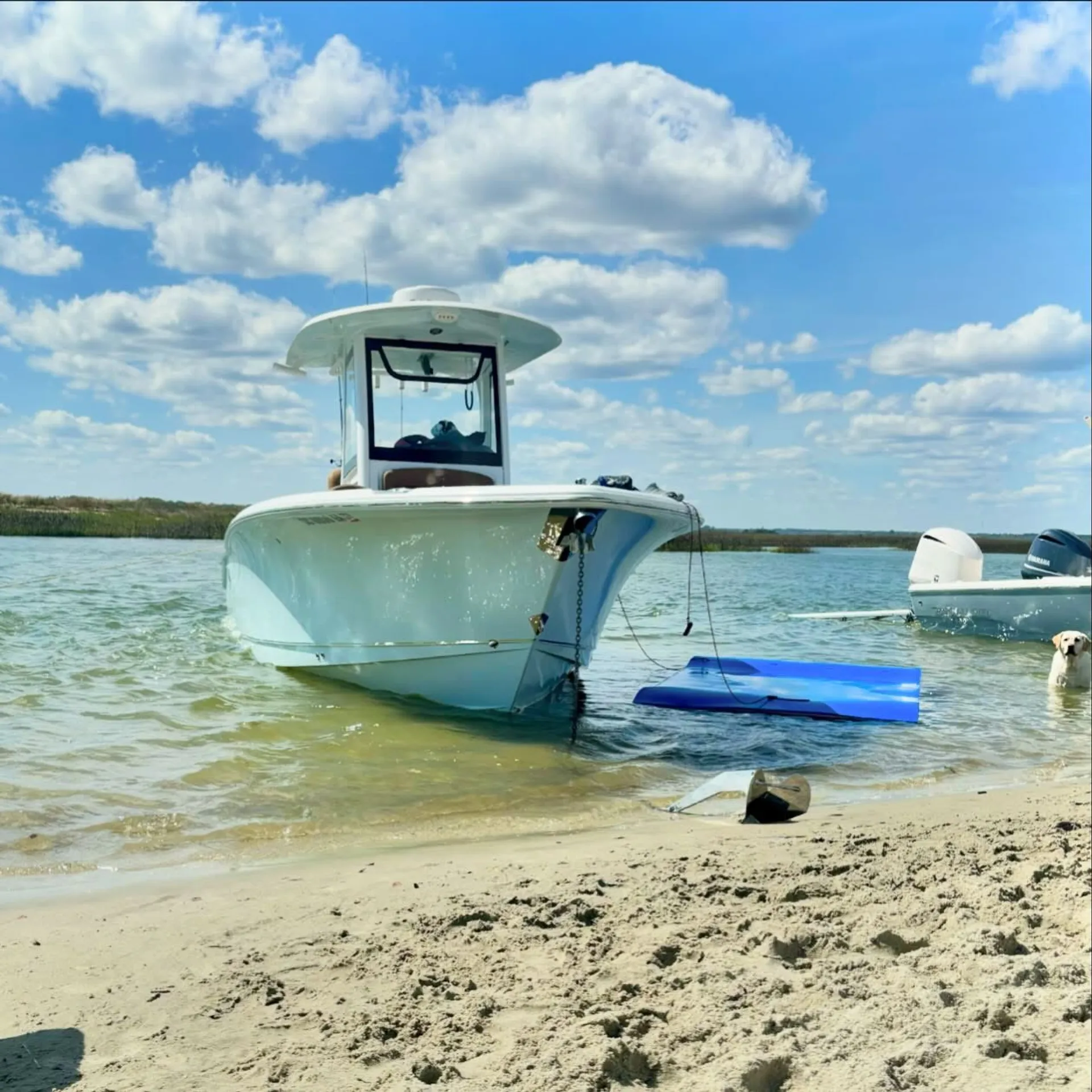 Luxury Private Charter- Cruise, Party, Bachelorette 