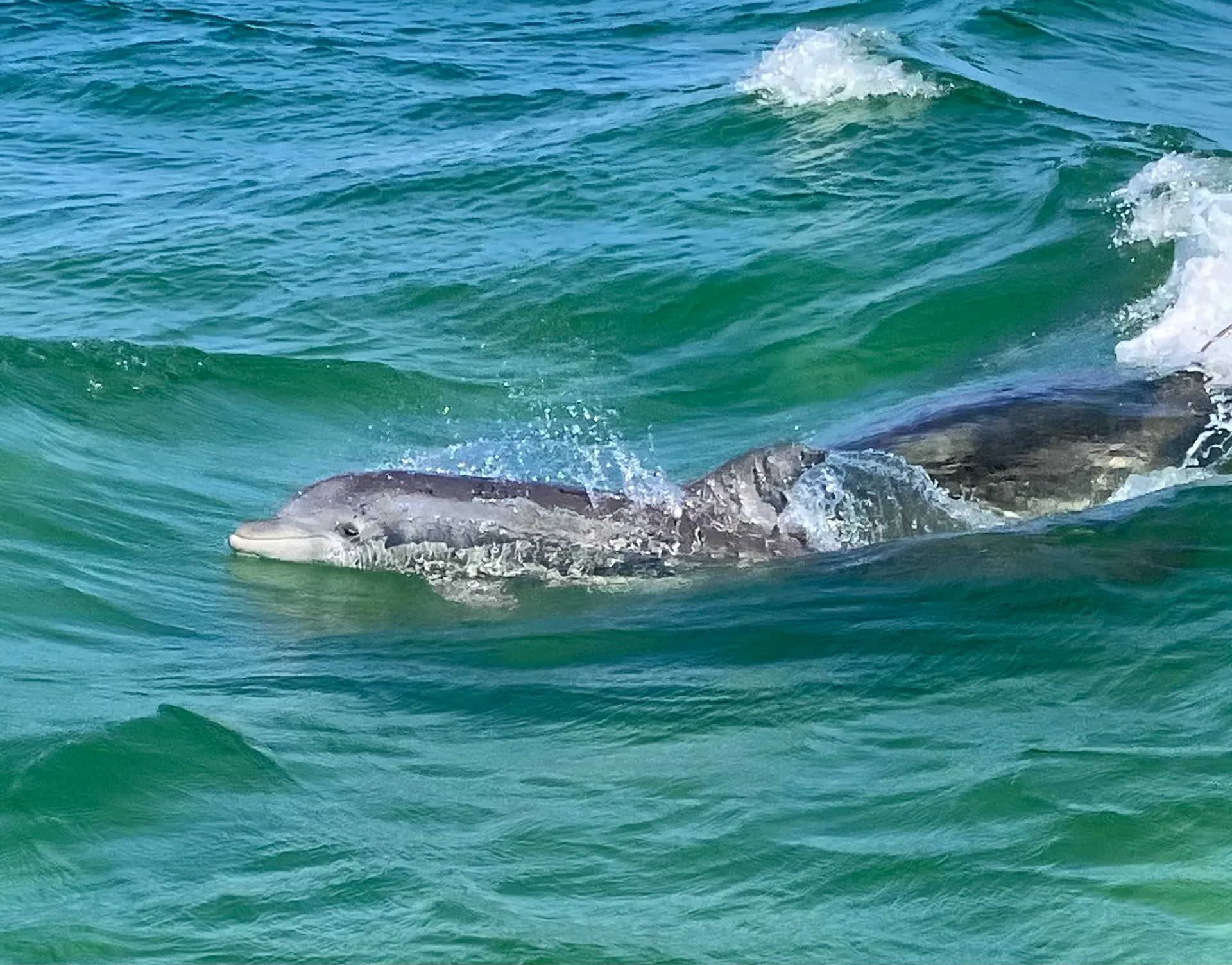 2023 Bentley, ride in style at Crab Island with a local!!