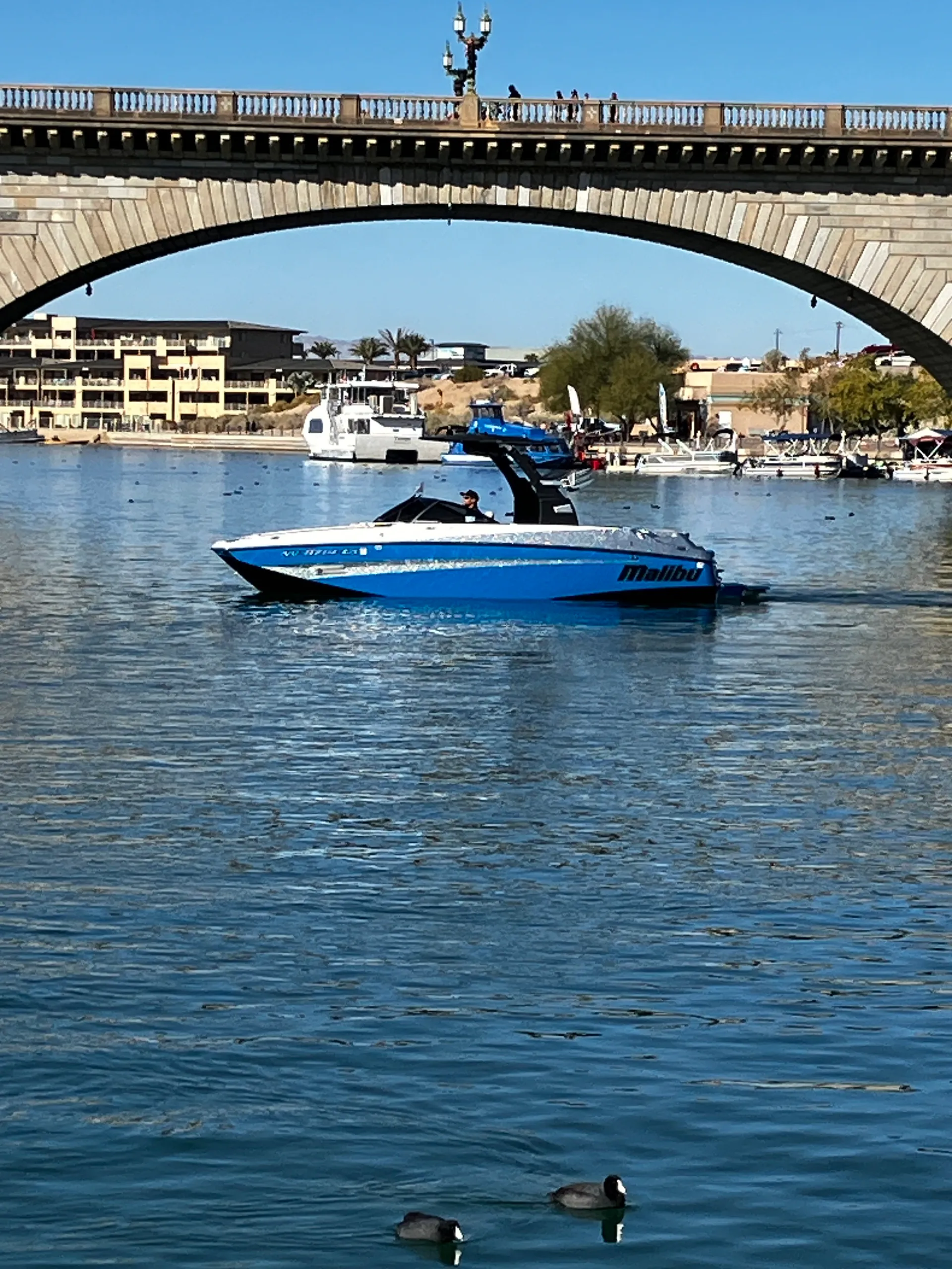 boat