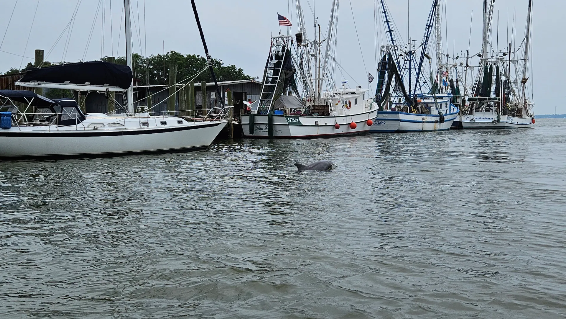 Versatile boating opportunities in the Charleston area