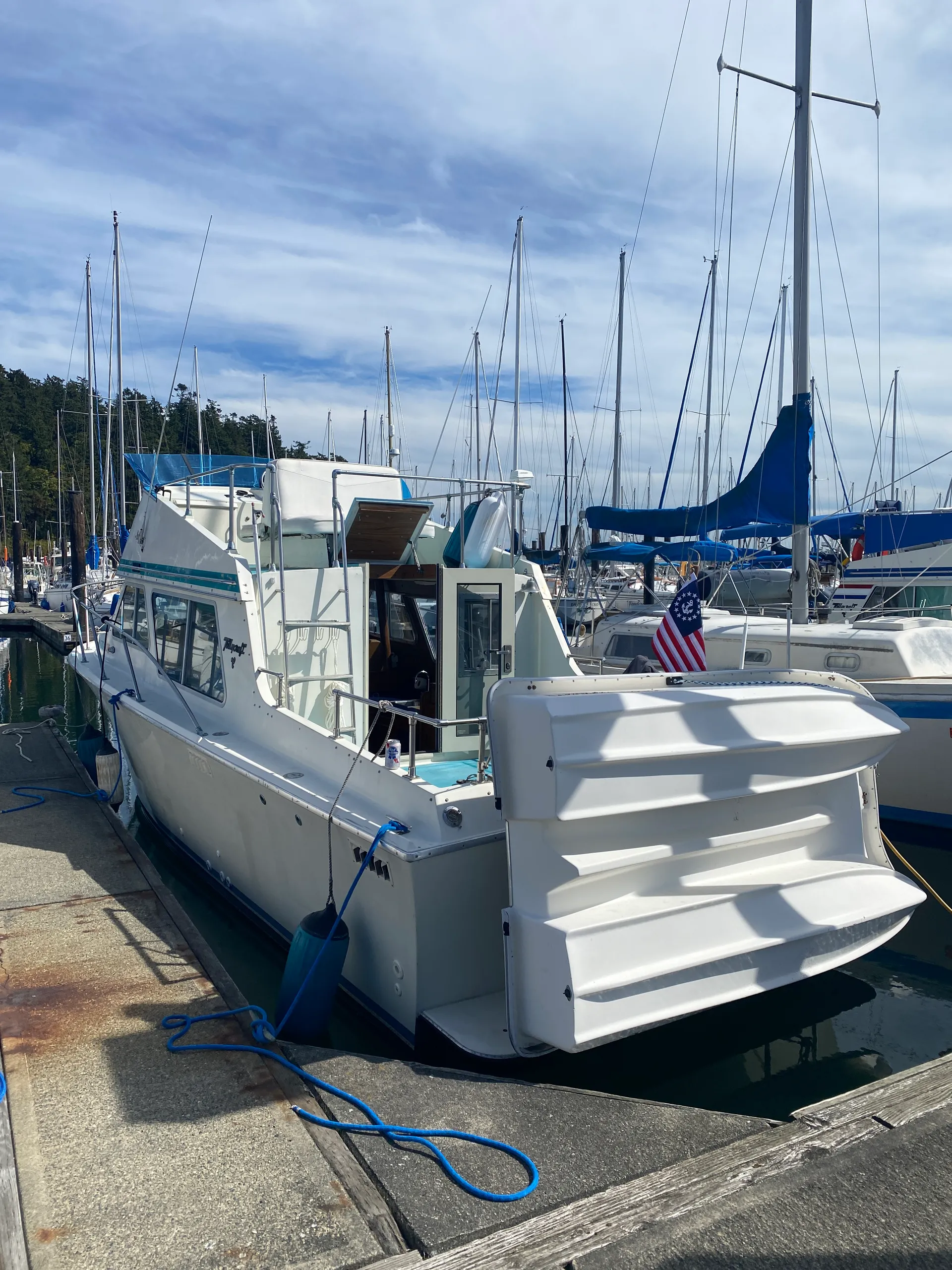 Tollycraft Boats 26 Sedan in Seattle, WA — photo 3