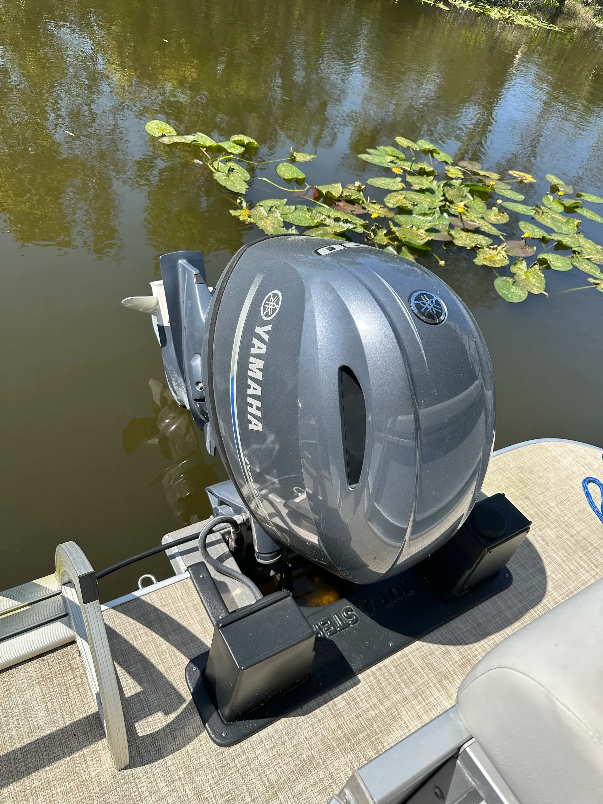 Explore the Harris Chain of Lakes on a 20ft Pontoon in Tavares, FL! 🚤