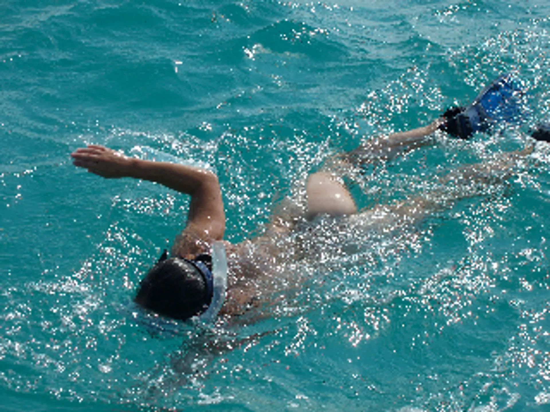 Fishing Charter and Cruising in Tampa Bay or Sarasota Bay