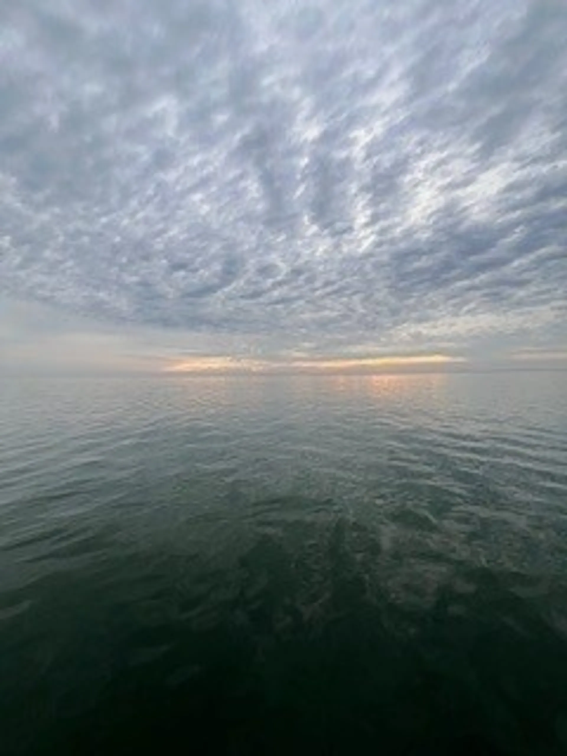 Pathfinder 2600HPS, Fun, Sandbar, Sunrises, sunsets, Sightsee, fish