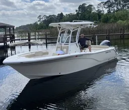 Harris chain of lakes and Lake Dora sandbar.