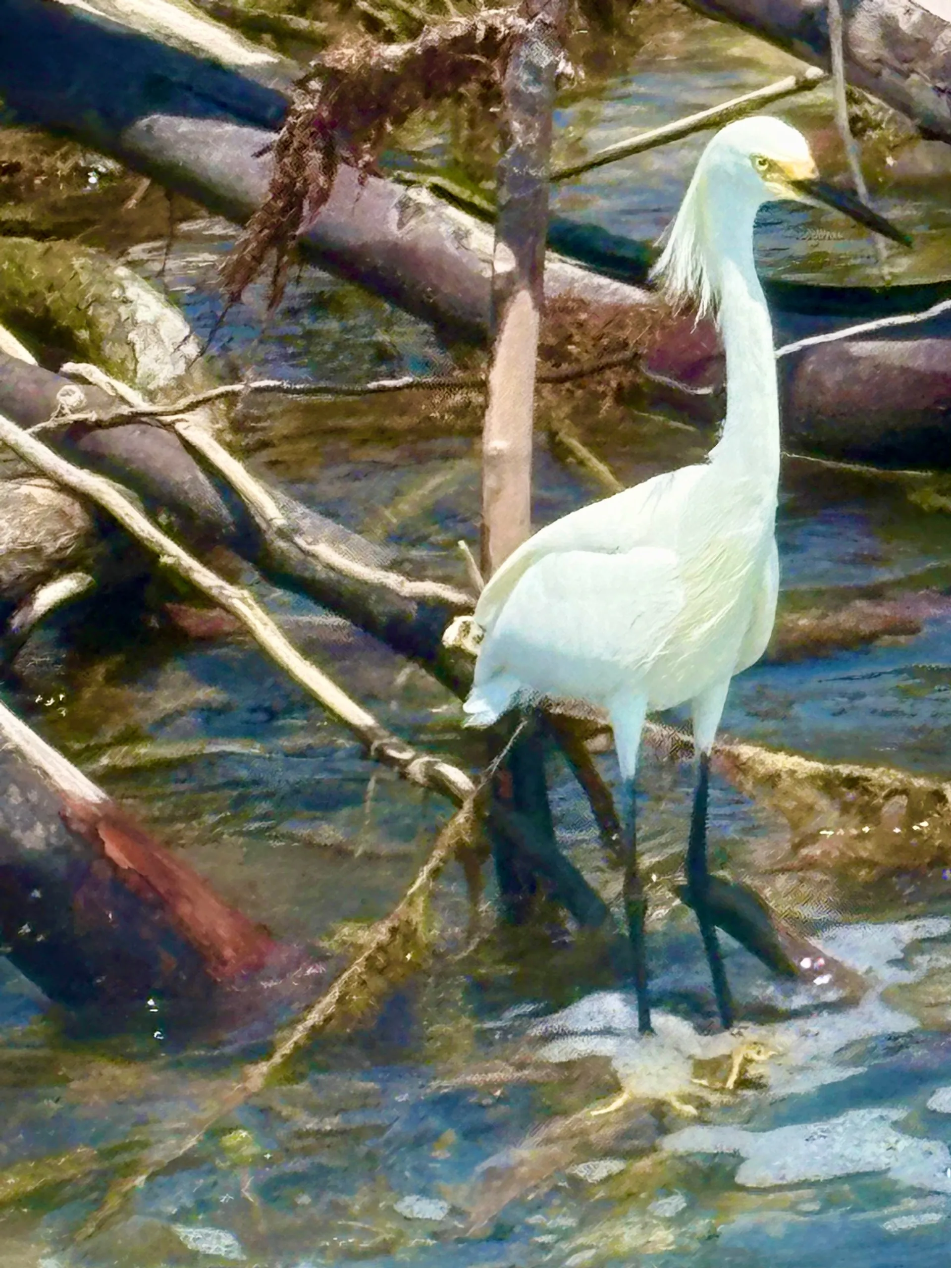 Tortuga Boat Adventures
