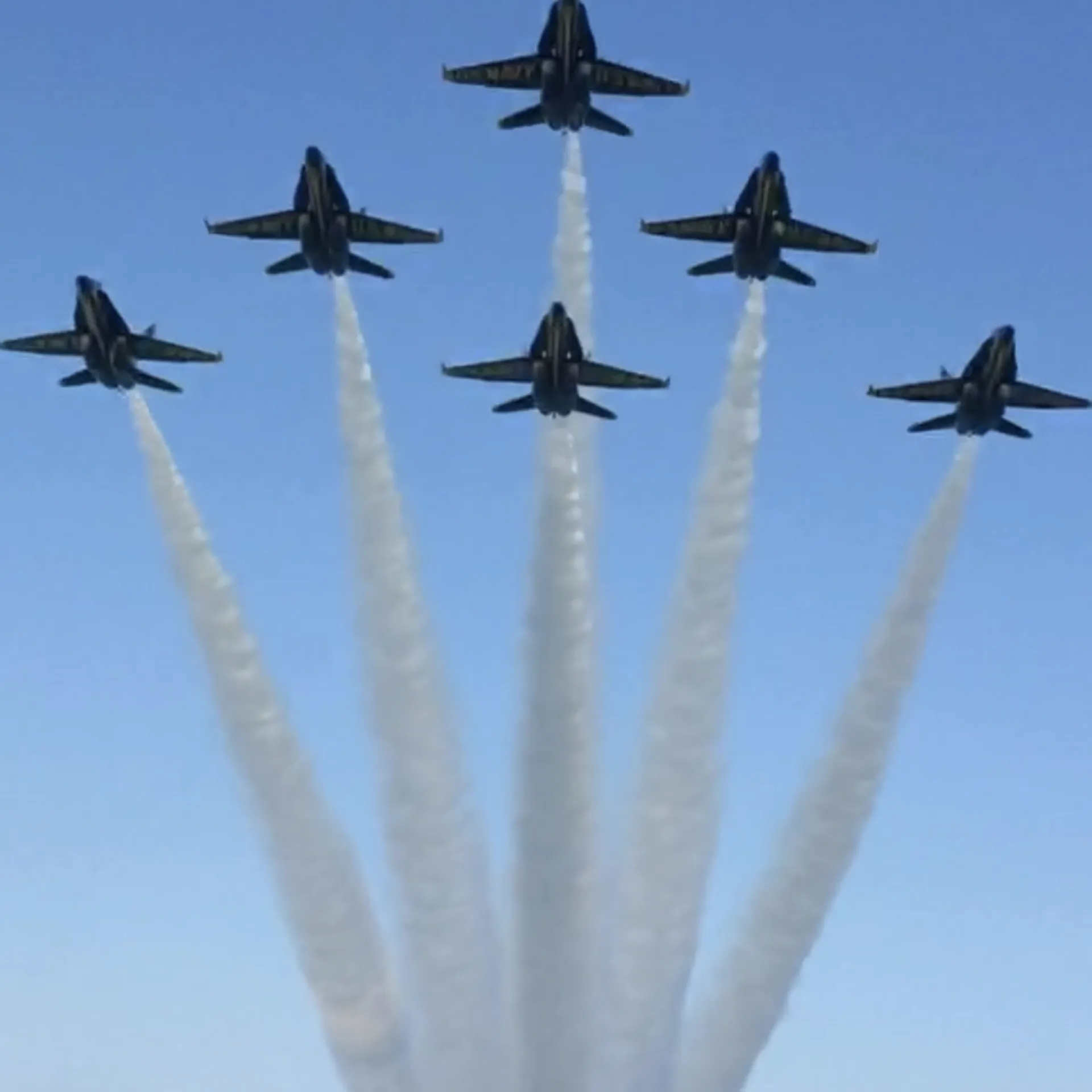 28' boat for Dolphin, sunset & Siteseeing Cruise in  Orange Beach, AL!