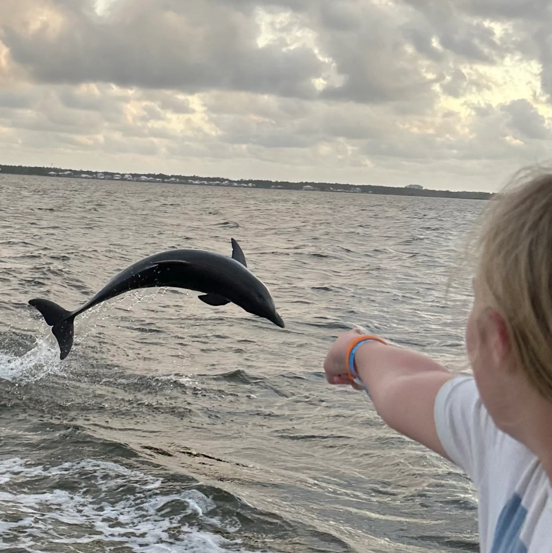 28' boat for Dolphin, sunset & Siteseeing Cruise in  Orange Beach, AL!