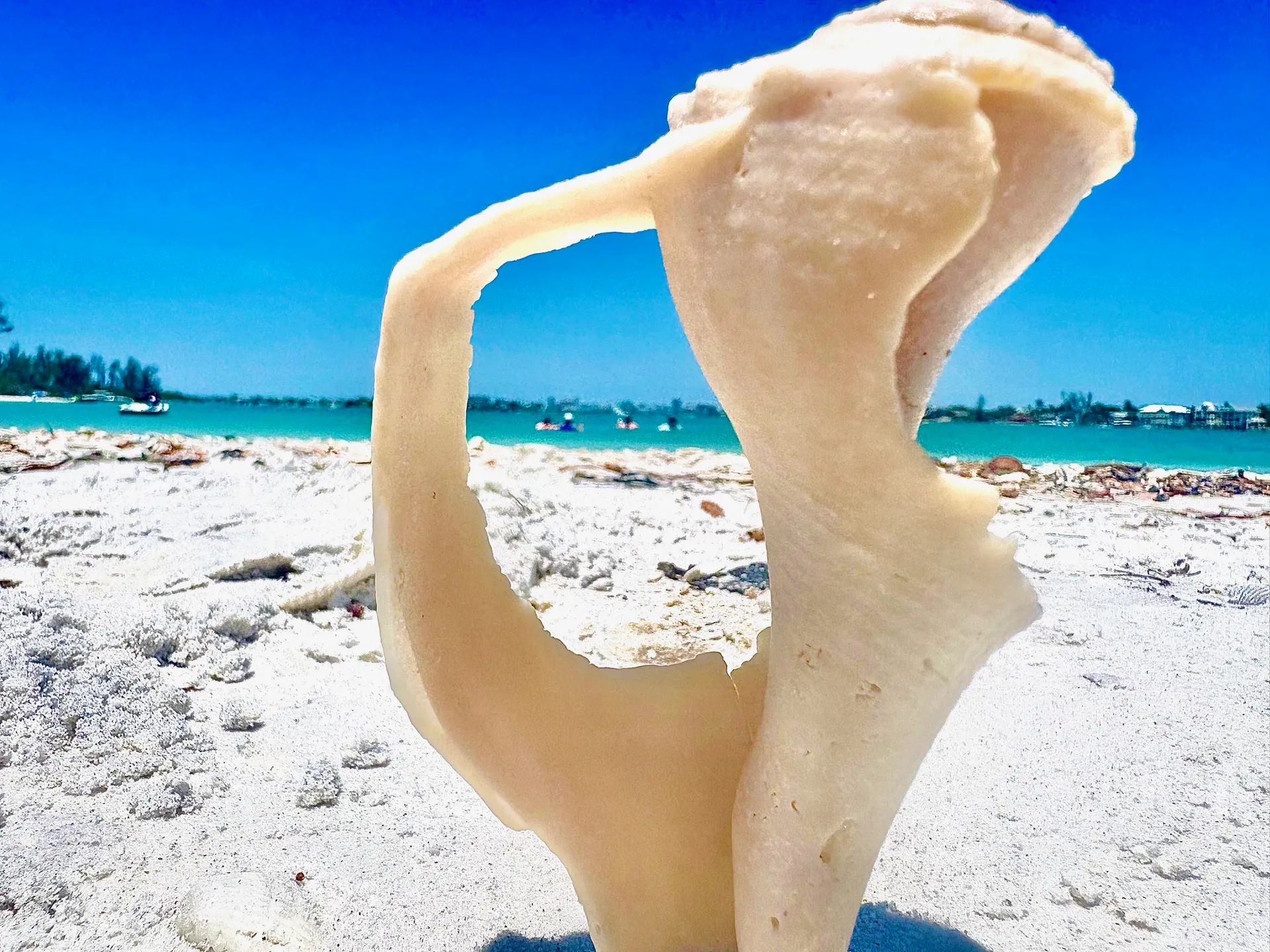 Tortuga Boat Adventures