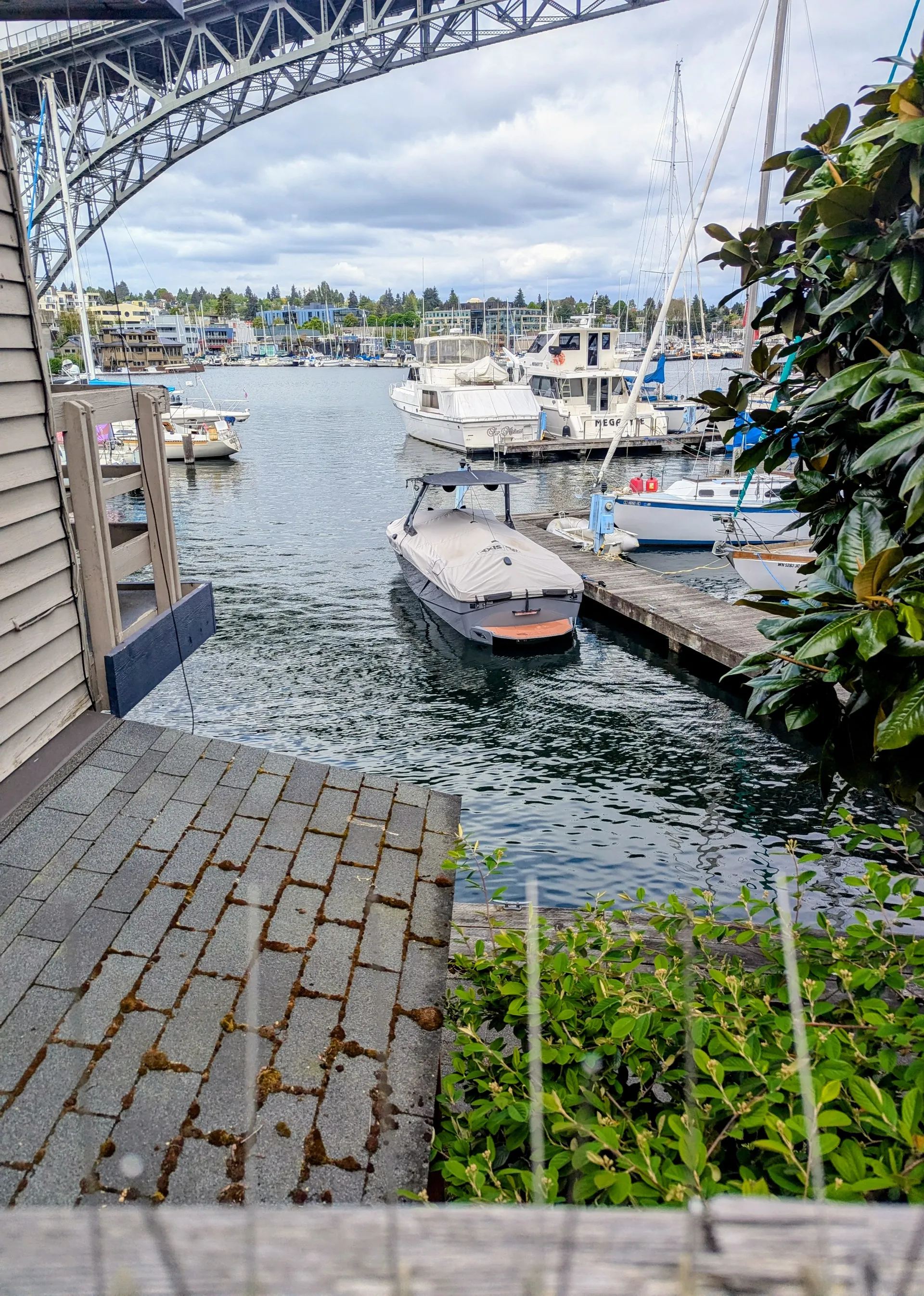 AXIS WAKE RESEARCH T250 in Seattle, WA — photo 5