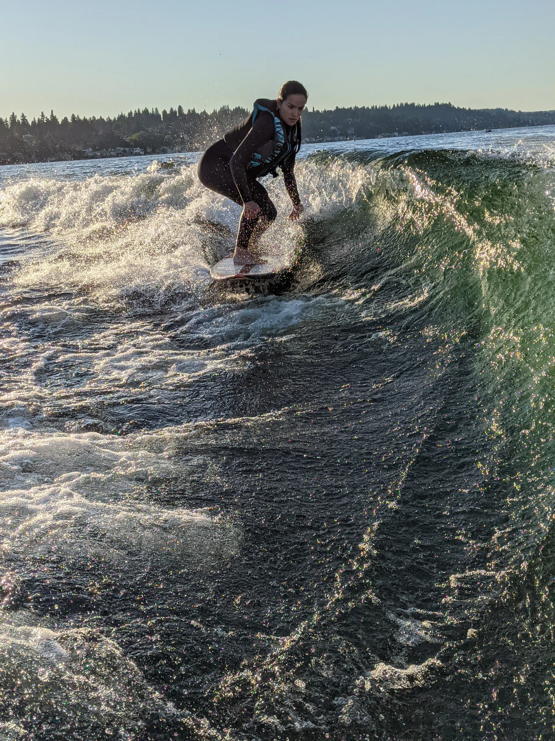 AXIS WAKE RESEARCH T250 in Seattle, WA — photo 9