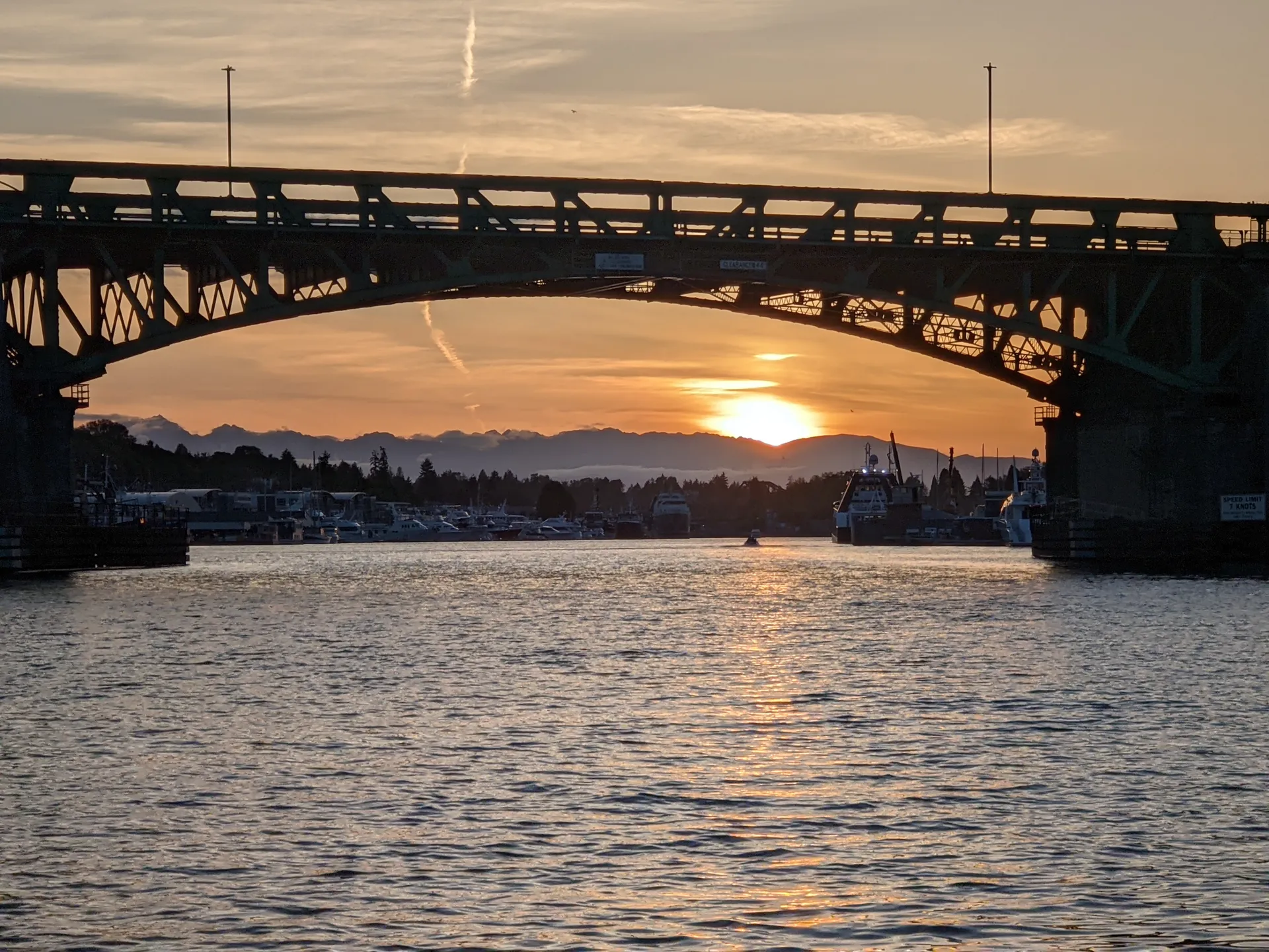 AXIS WAKE RESEARCH T250 in Seattle, WA — photo 10