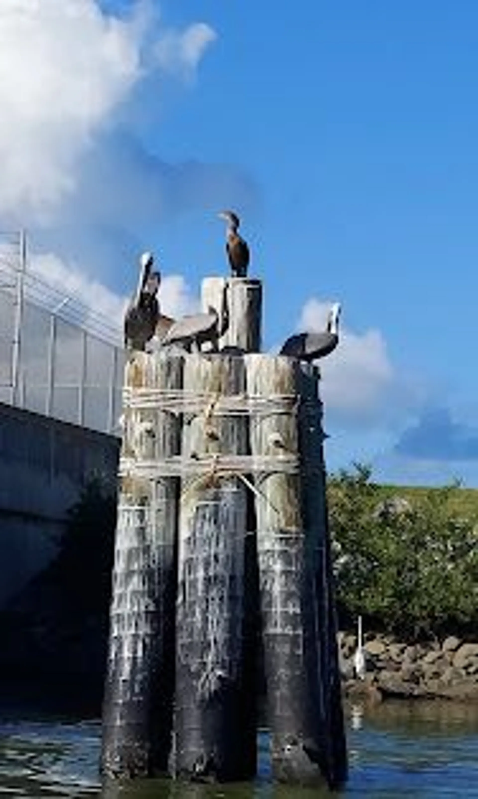 2021 crownline deck boat to enjoy Cocoa Beach!