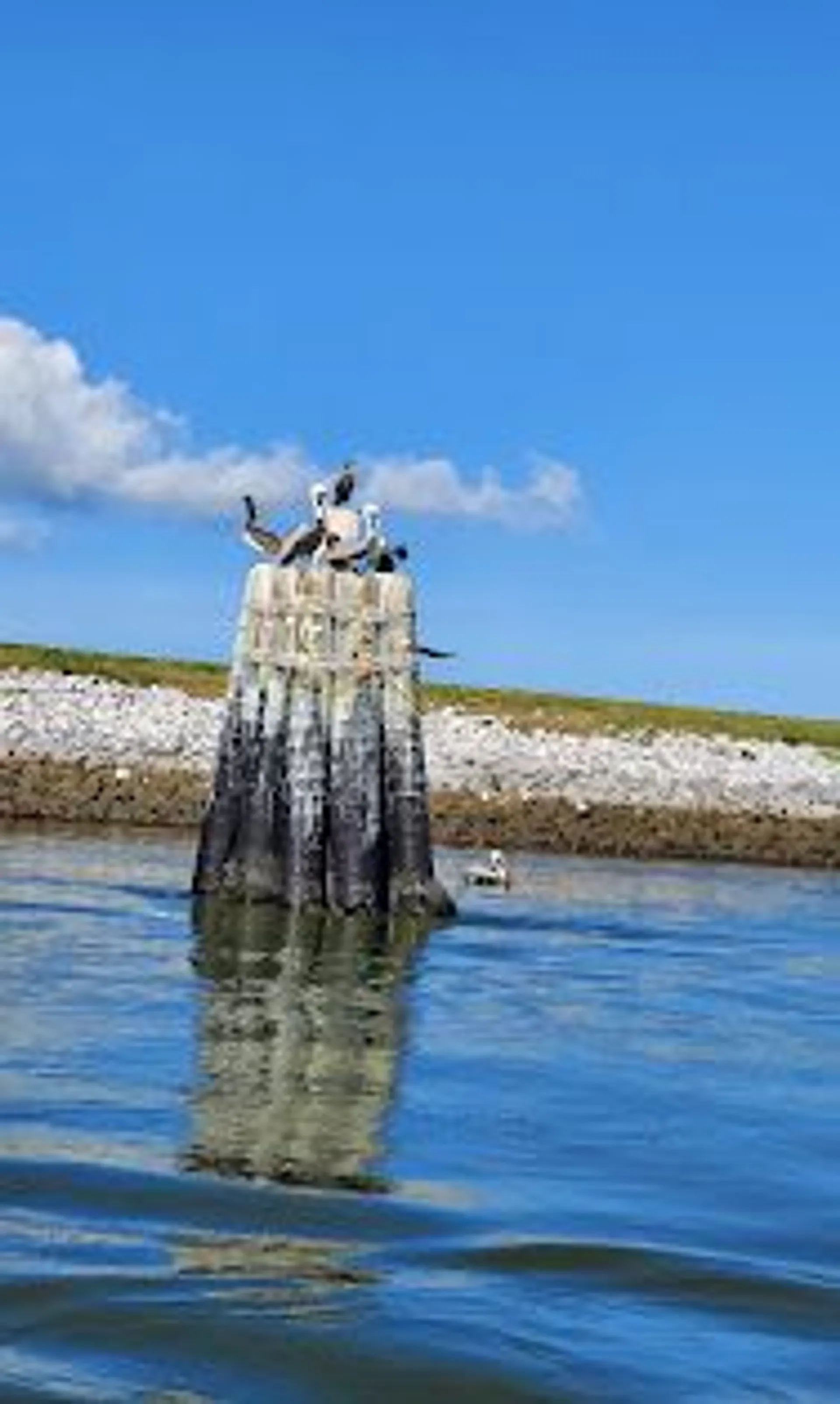 2021 crownline deck boat to enjoy Cocoa Beach!