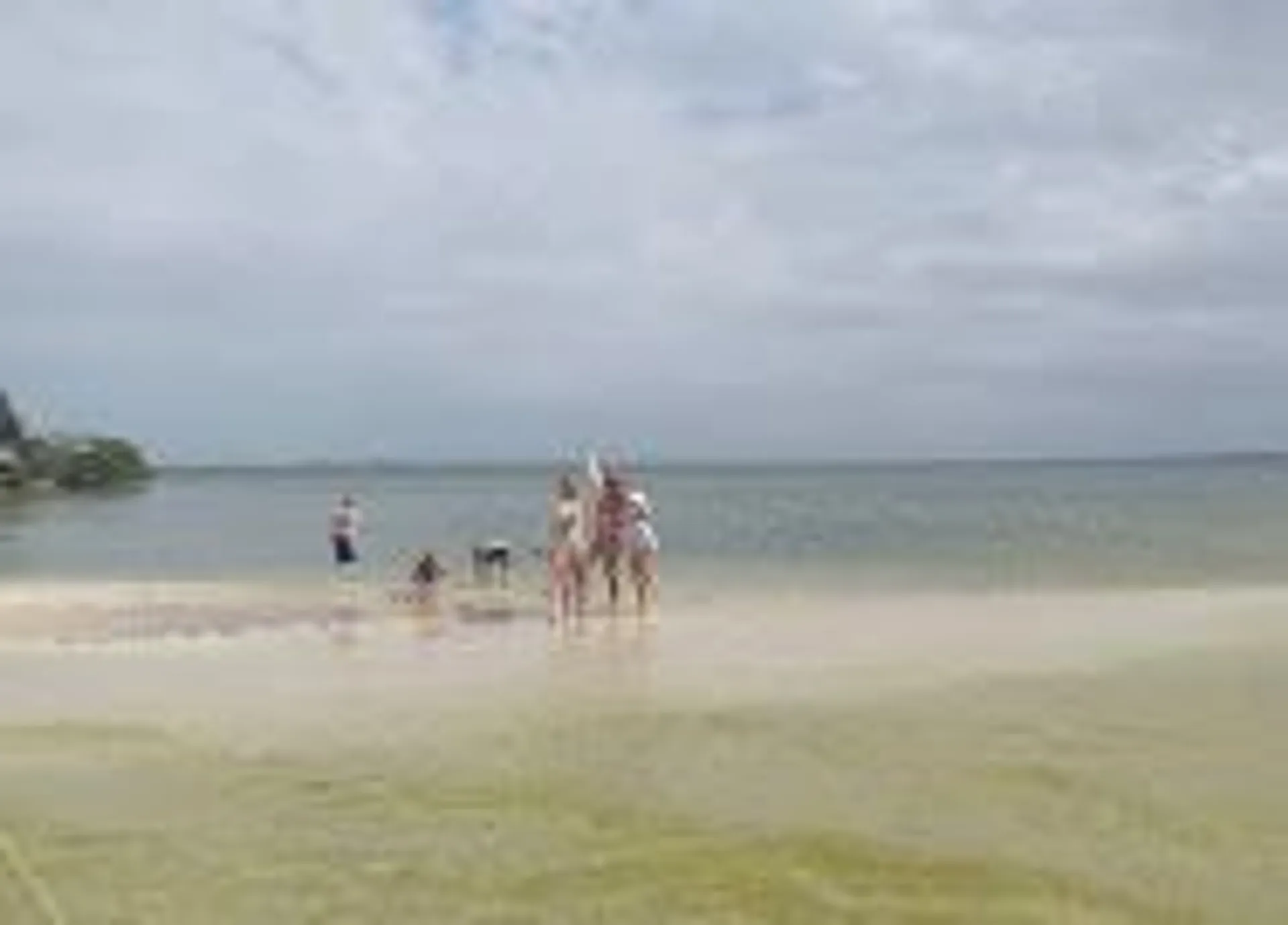 2021 crownline deck boat to enjoy Cocoa Beach!