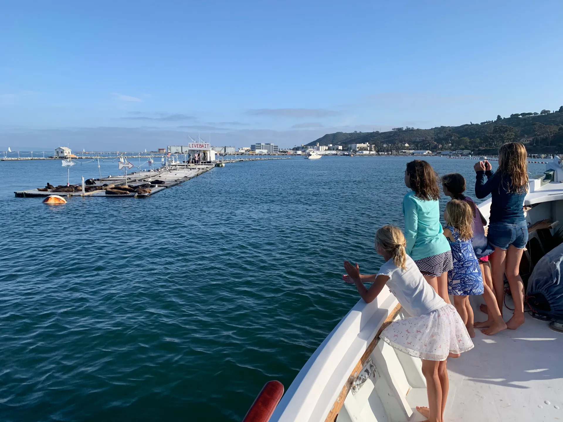 Luxury Cruising Like No Other