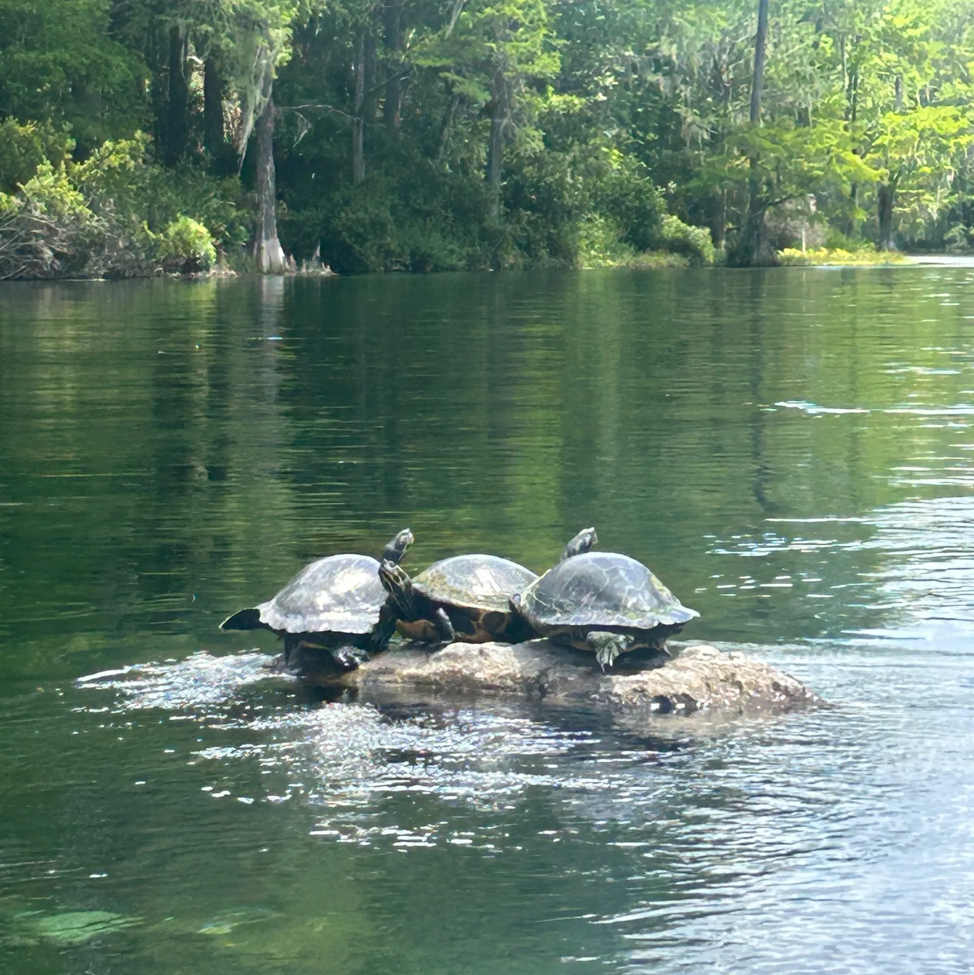 Cruise the RAINBOW RIVER! Two Rivers pontoon boat rental.