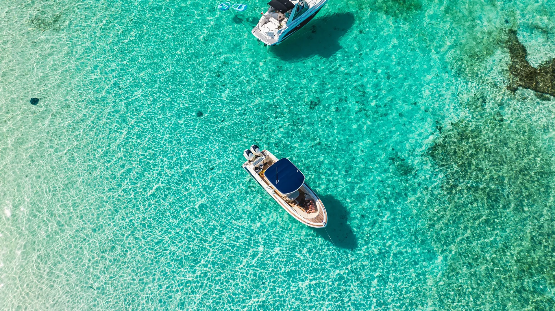 Guided Deep Sea Fishing, Spearfishing, and Lobstering – Ft Lauderdale