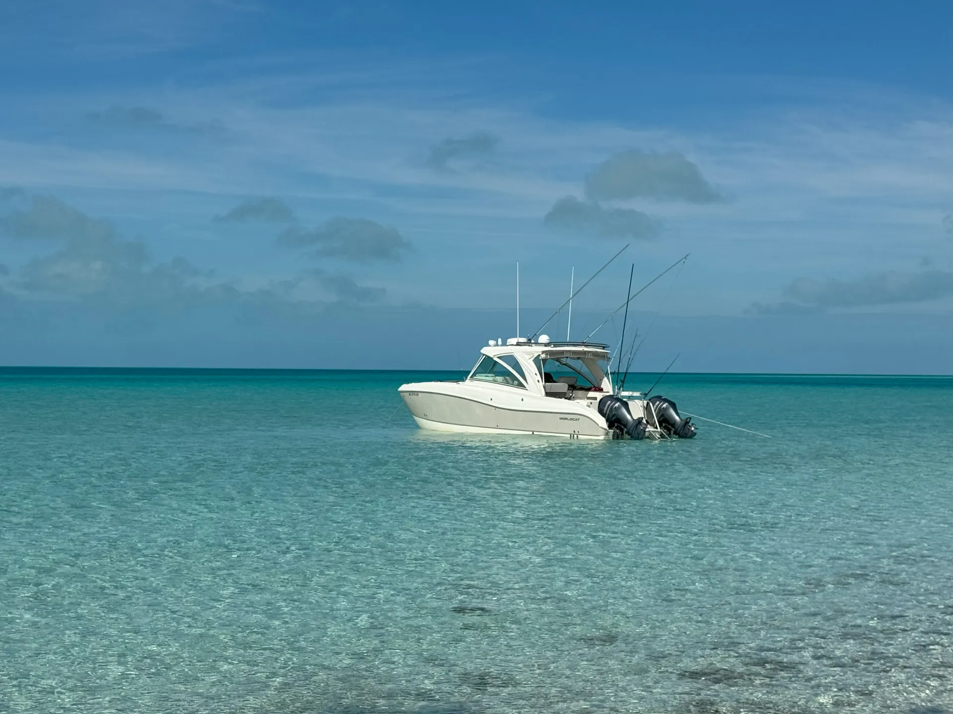 A Floating Living Room With Cat Stability and Comfort